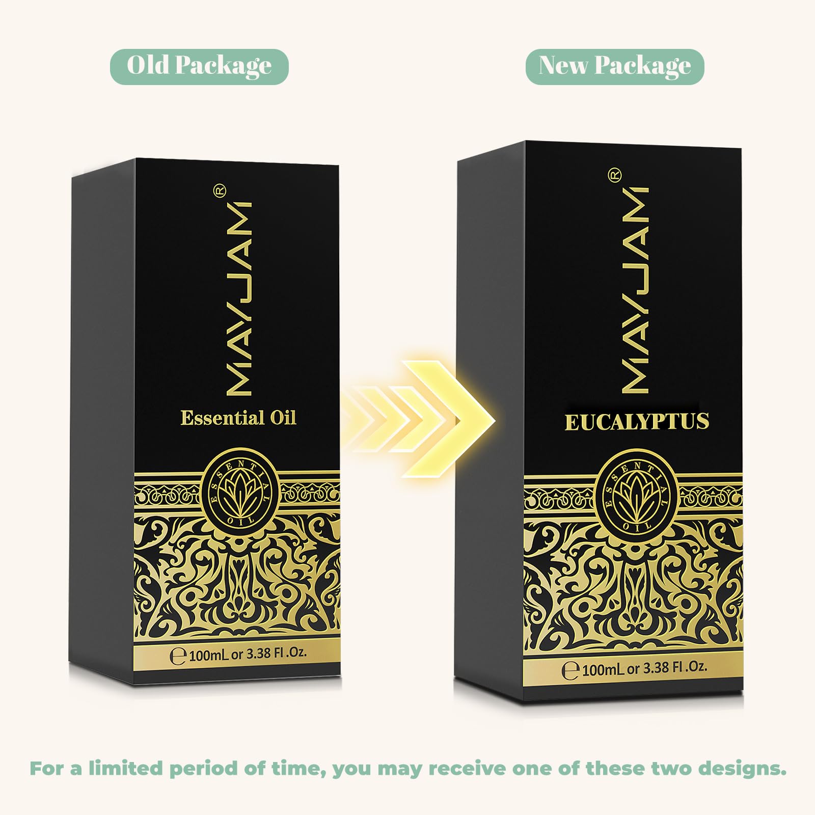MAYJAM Eucalyptus Essential Oil for Diffuser & Skin – 100ml