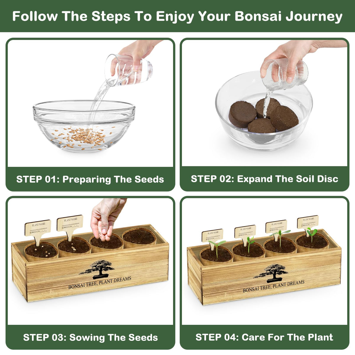 Bonsai Tree Kit Complete Bonsai Starter Growing Kit - LUOJIBIE Official Imagery - 6