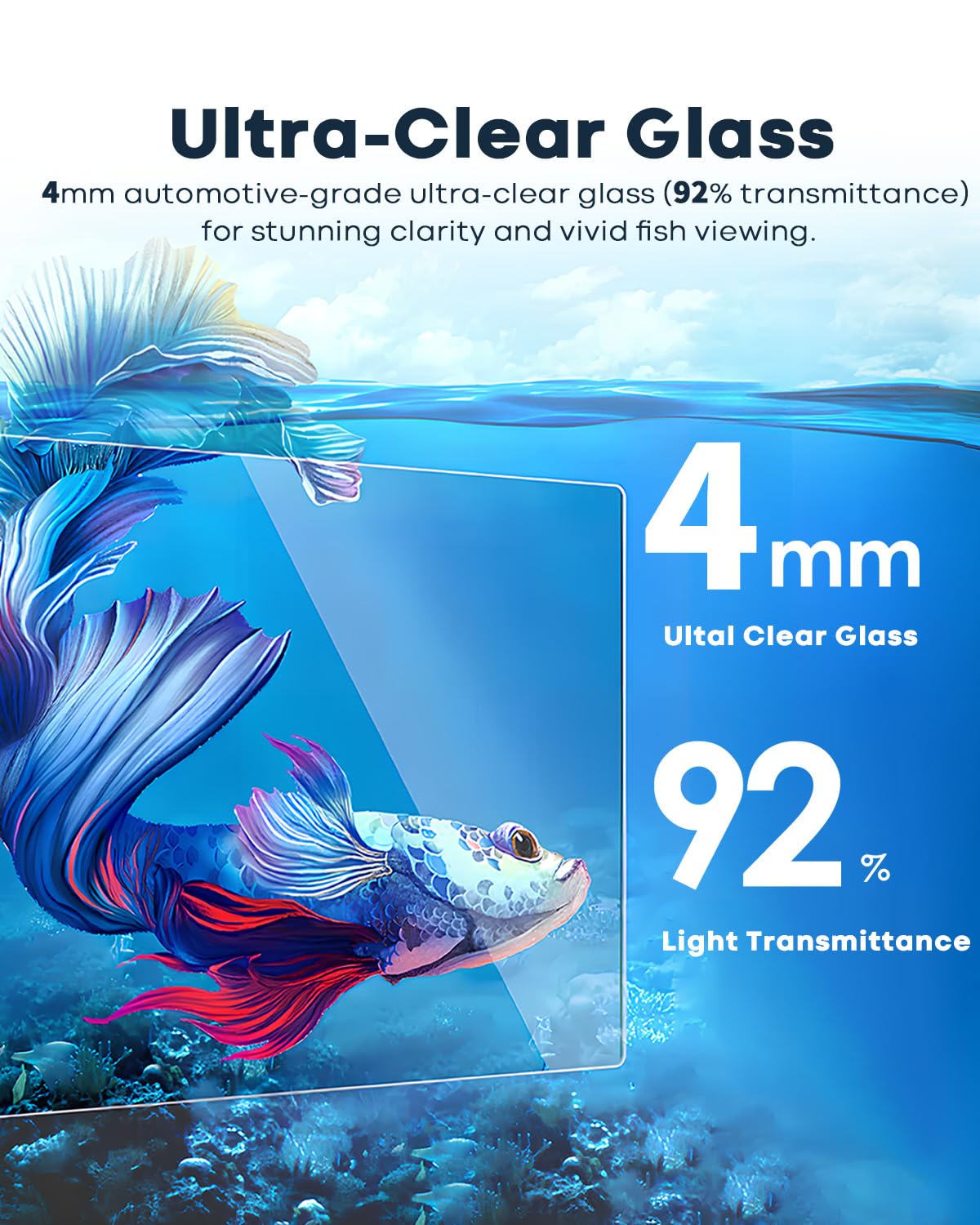 Wonderfactory 1.25 Gallon Fish Tank Small Glass Aquarium Kit Starter Set Dark Background – Glass / / /