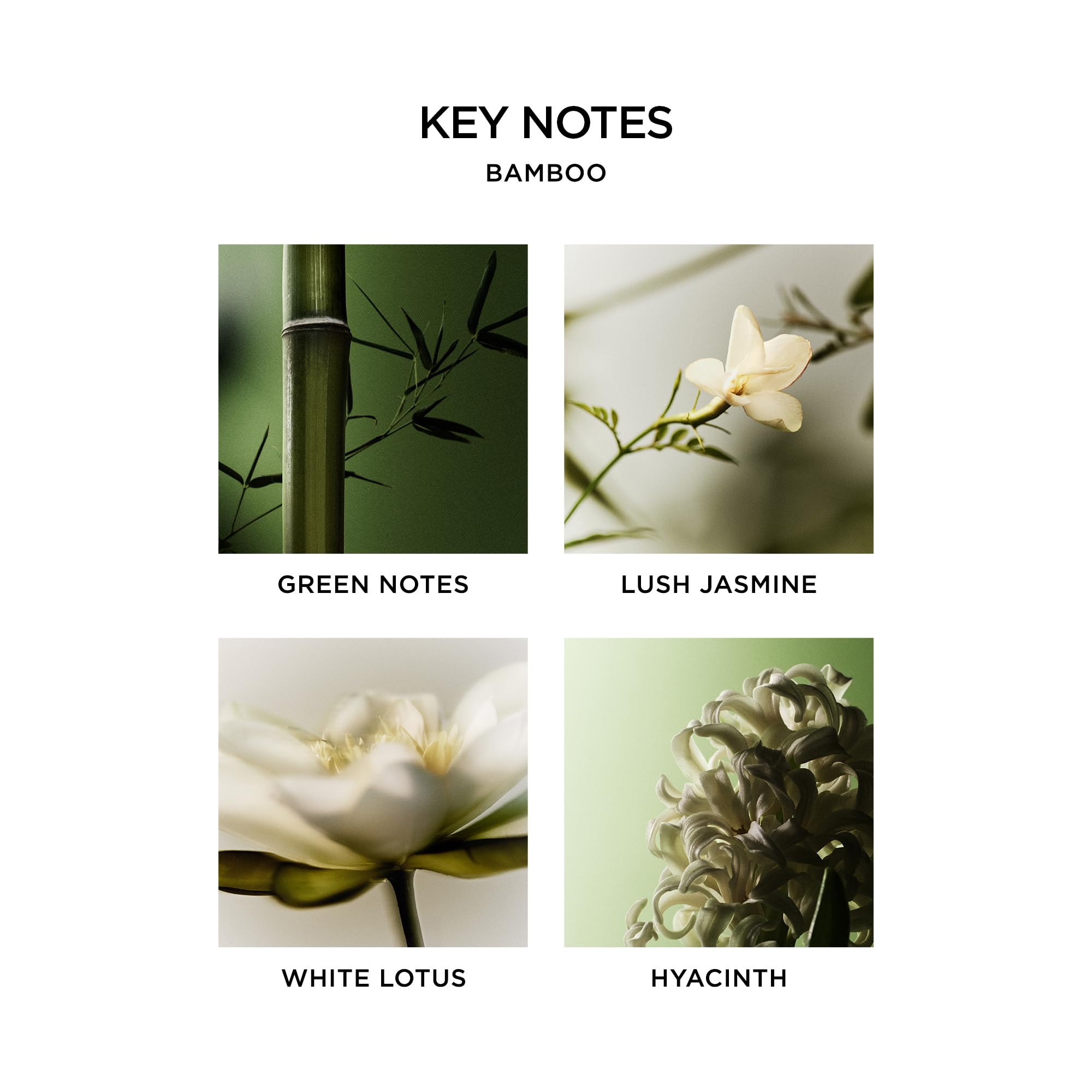 NEST New York bamboo reed diffuser refill bottle with 5.9 fl oz liquid, designed for aromatic home scent diffuser.