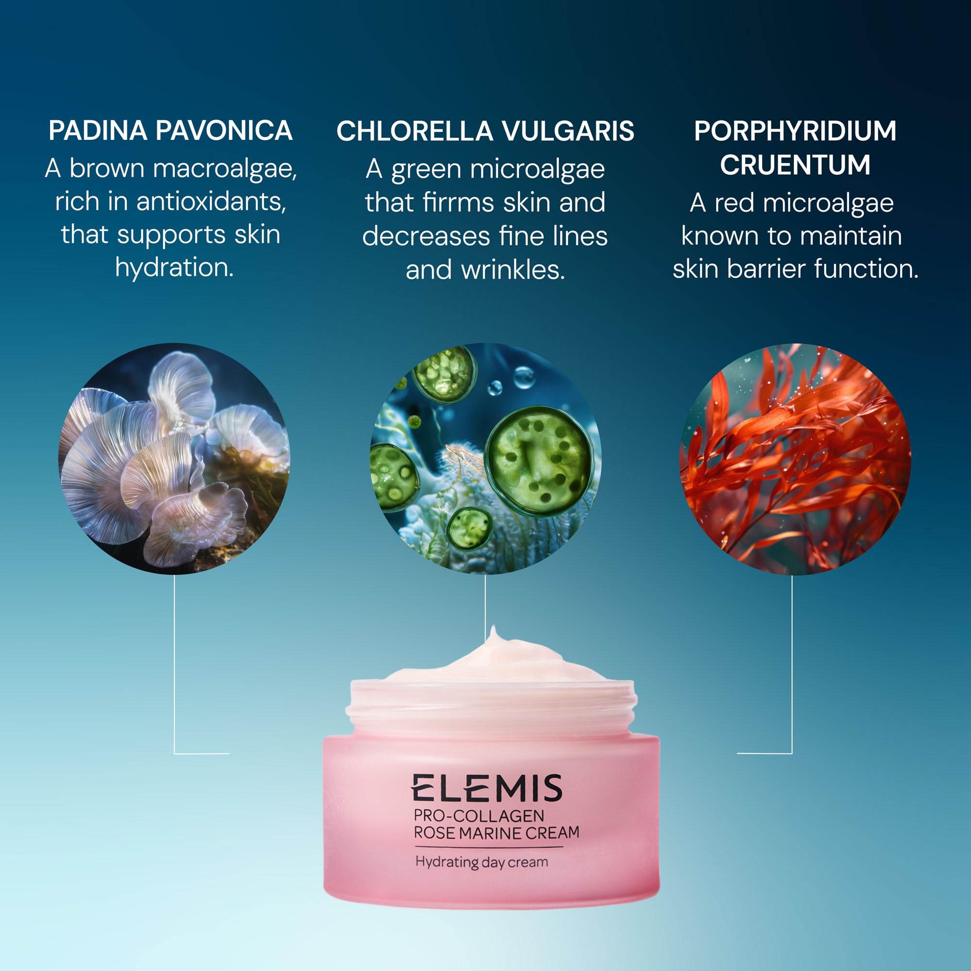 ELEMIS Pro-Collagen Rose Marine Cream jar with a smooth, luxurious cream texture and elegant rose-themed packaging.
