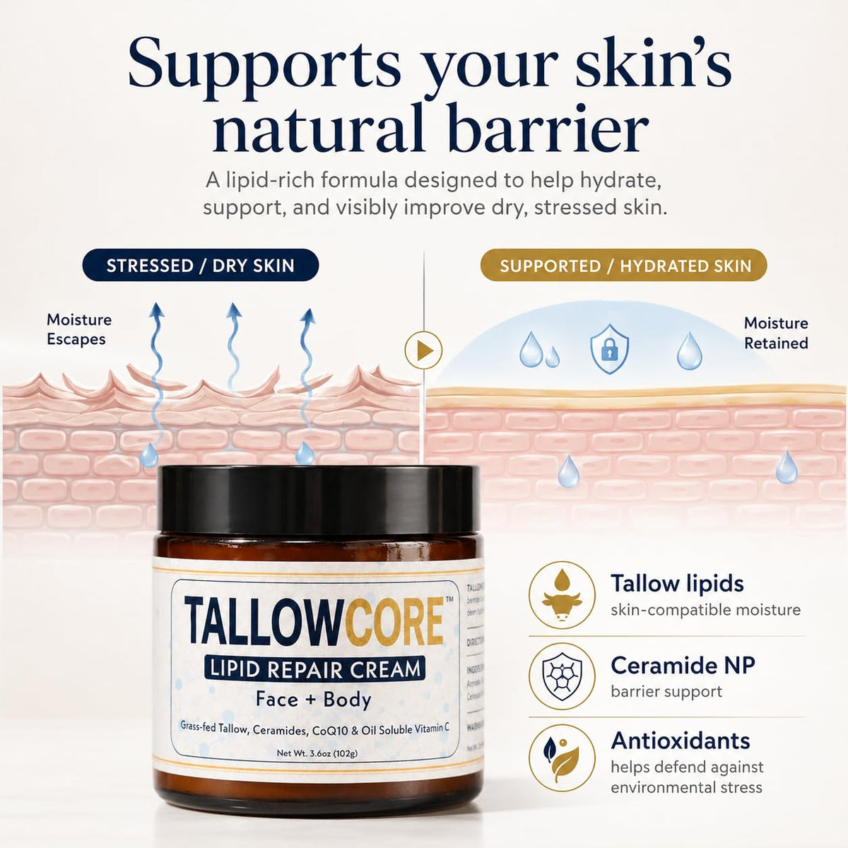 TALLOWCORE Lipid Repair Cream – Waterless Grass-Fed Tallow Moisturizer with Ceramide NP, CoQ10 & Oil-Soluble Vitamin C –