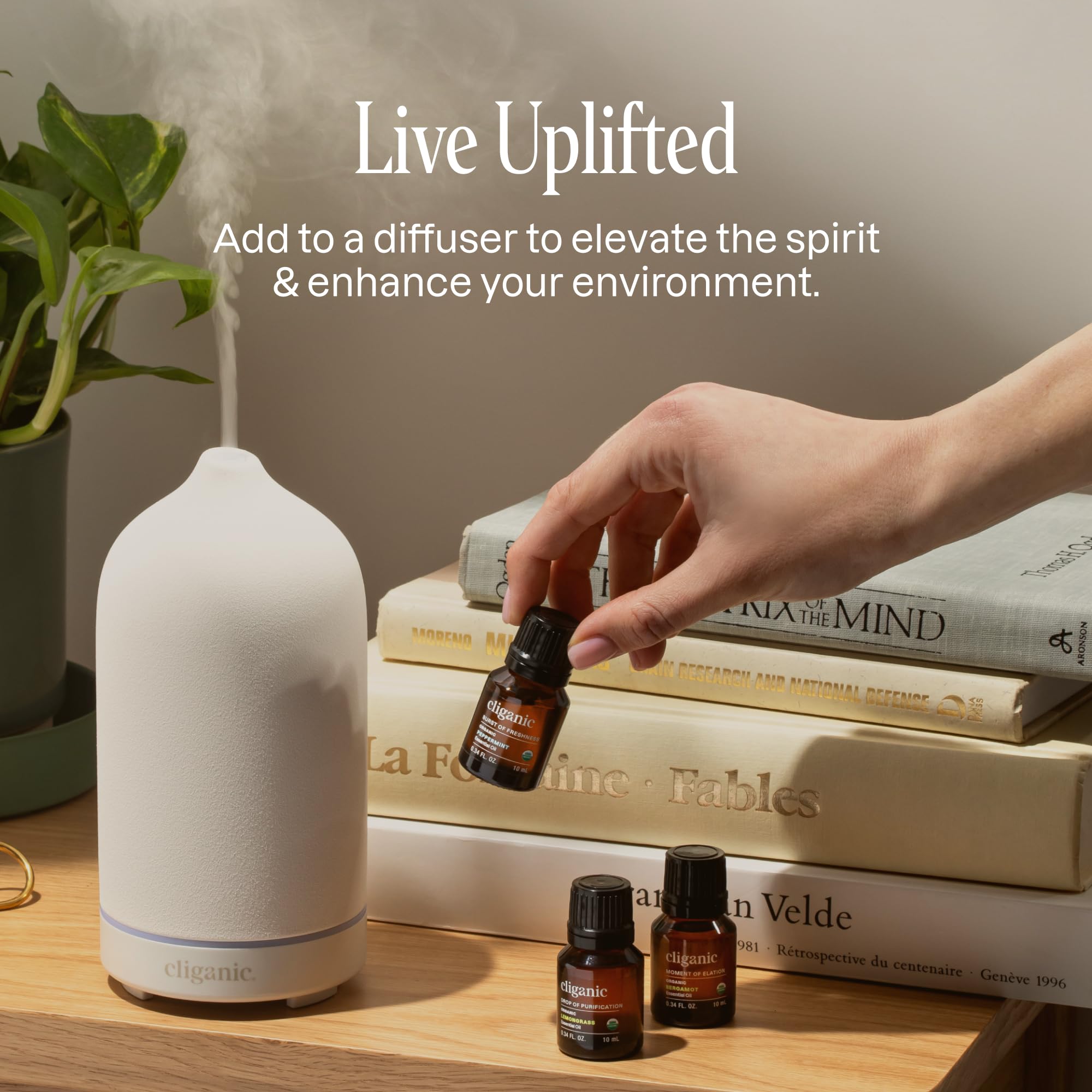 Cliganic Organic Frankincense Essential Oil Boswellia
