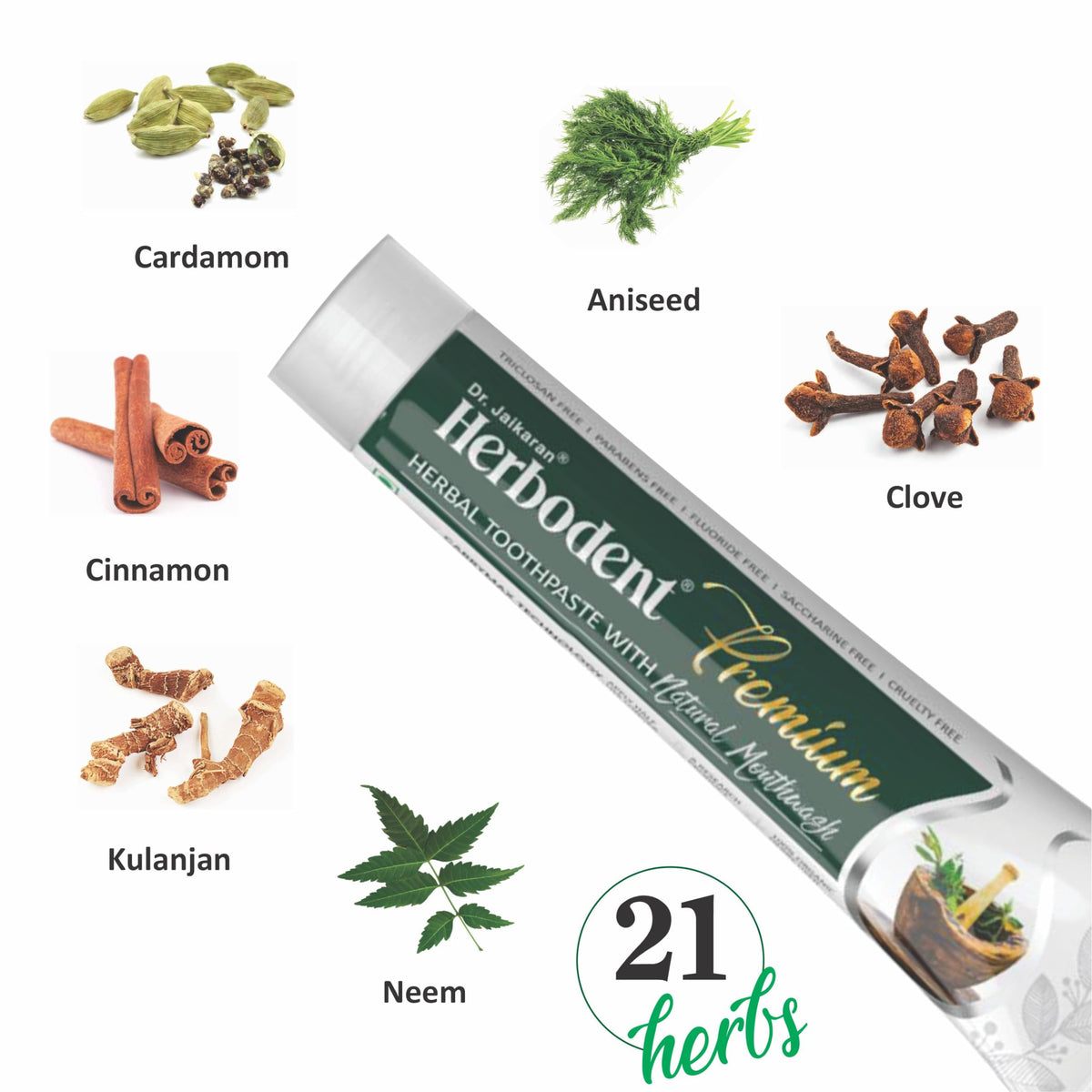 Premium Toothpaste - Herbodent Official Imagery - 5