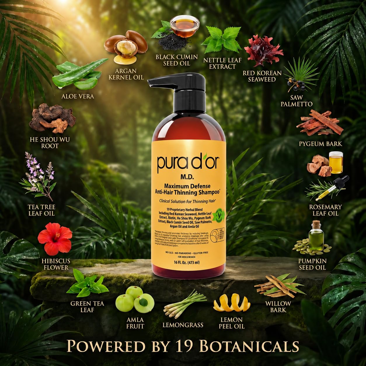 PURA D'OR MD anti-hair thinning shampoo for dry scalp, with biotin, herbal blend, coal tar, sulfate-free, 16 oz bottle.