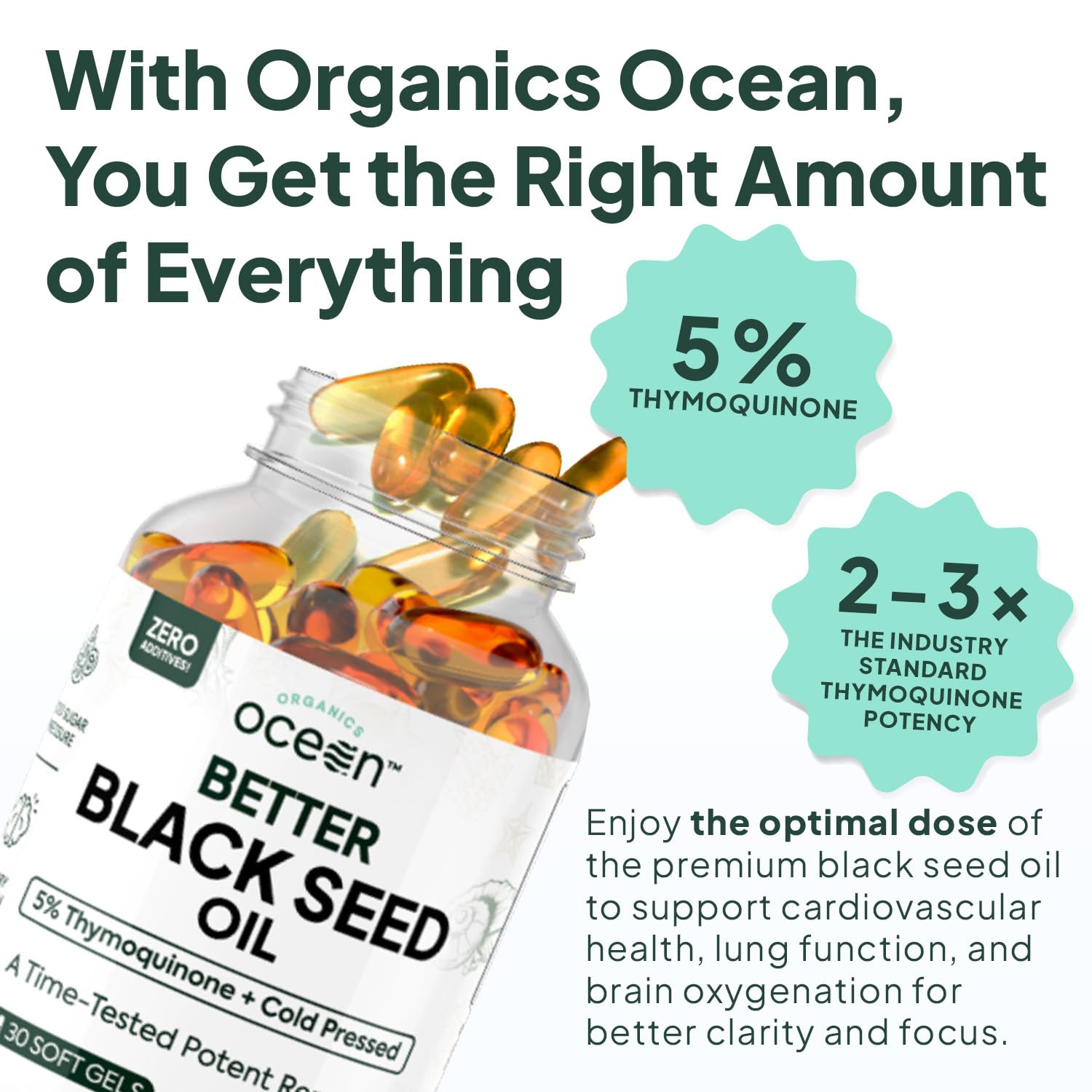 Organics Ocean Better Black Seed Oil Cold Pressed - Pure Nigella Sativa Oil for Immune Support - 5% Thymoquinone - Support Memory, Vitality, and Cellular Health - 3 Pack Bulk Supply