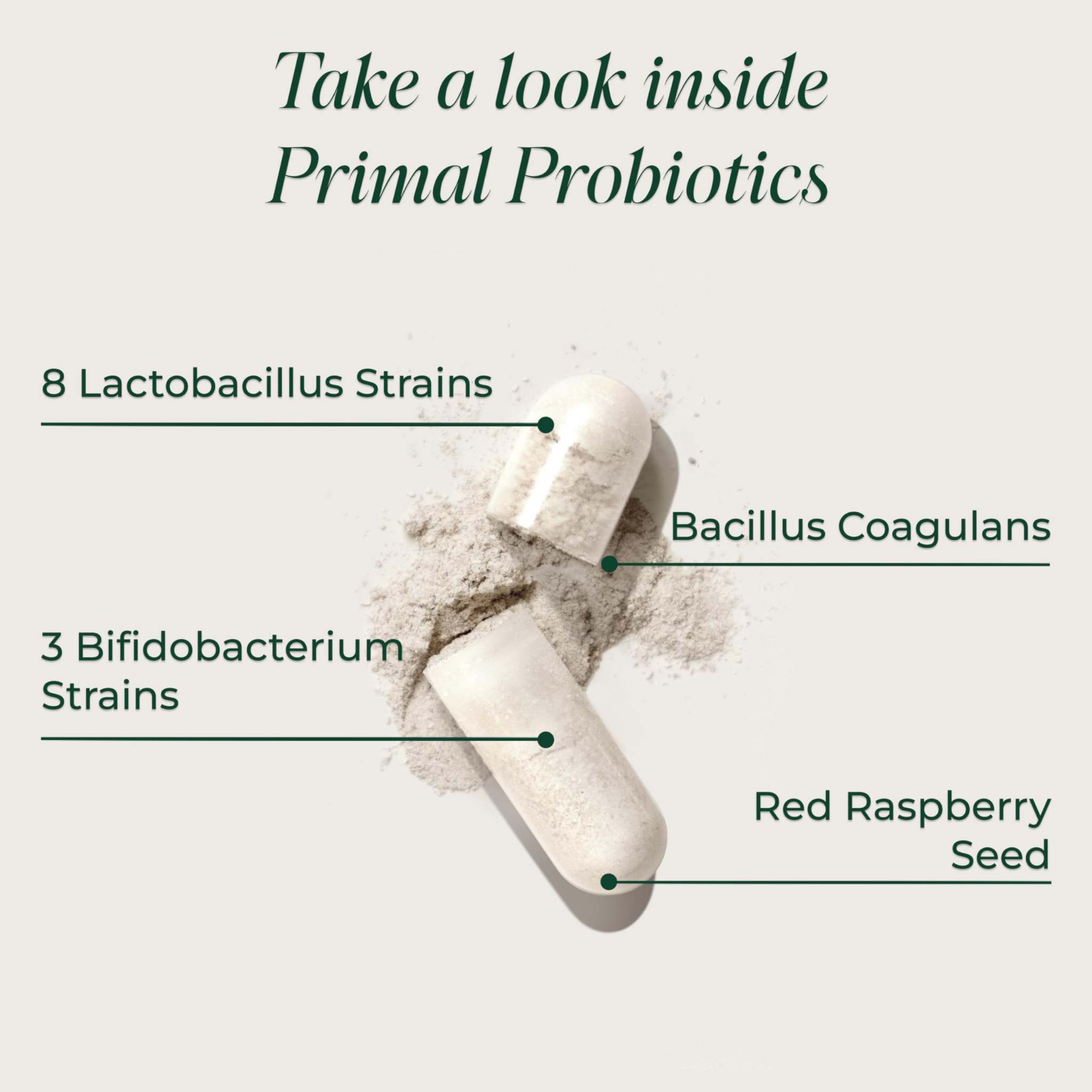 Primal Harvest probiotic supplement with 12 strains of beneficial bacteria in capsule form for daily digestive health.