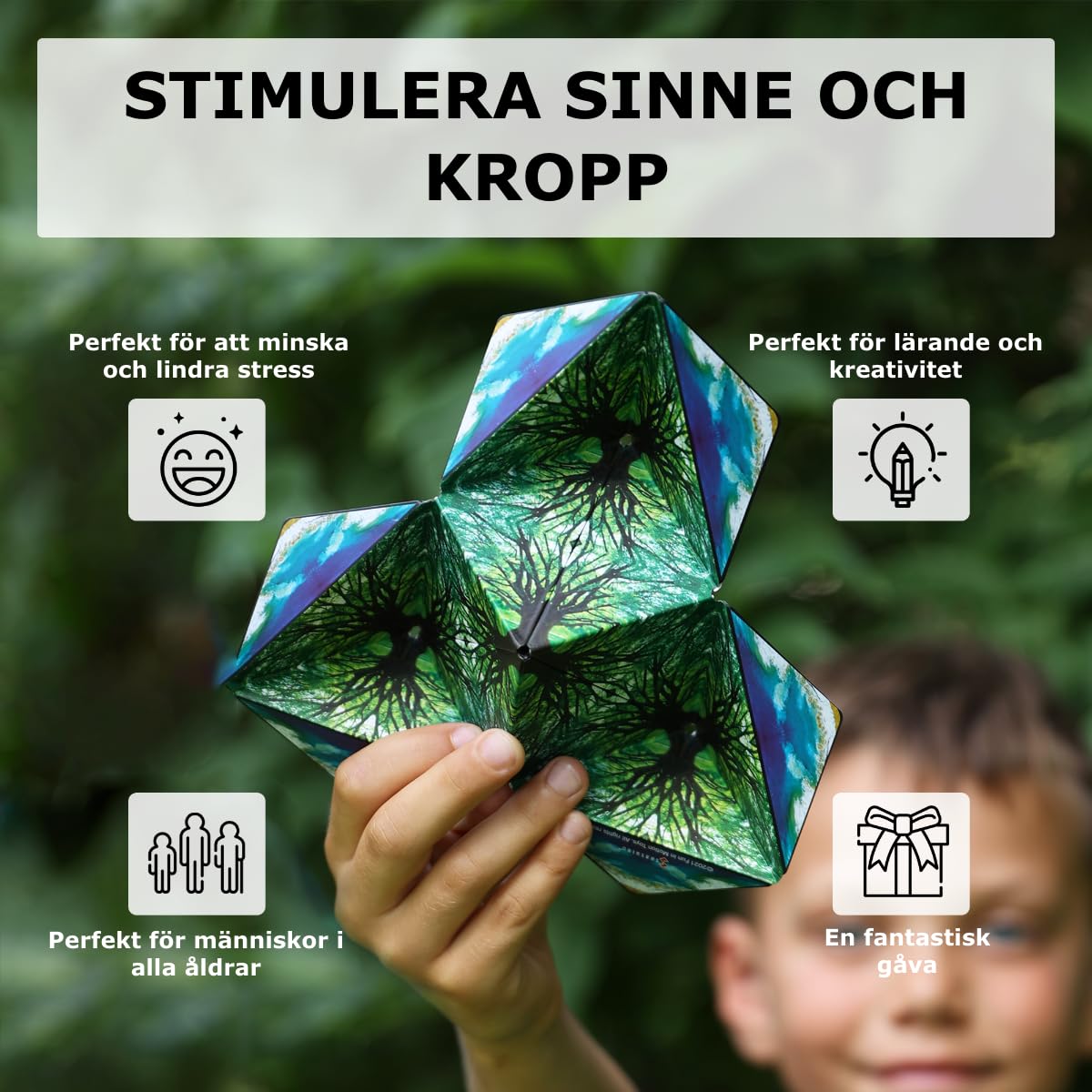 Shashibo DODECA Magnetic Puzzle Cube, Stress Relief Fidget Toy – packaging and label