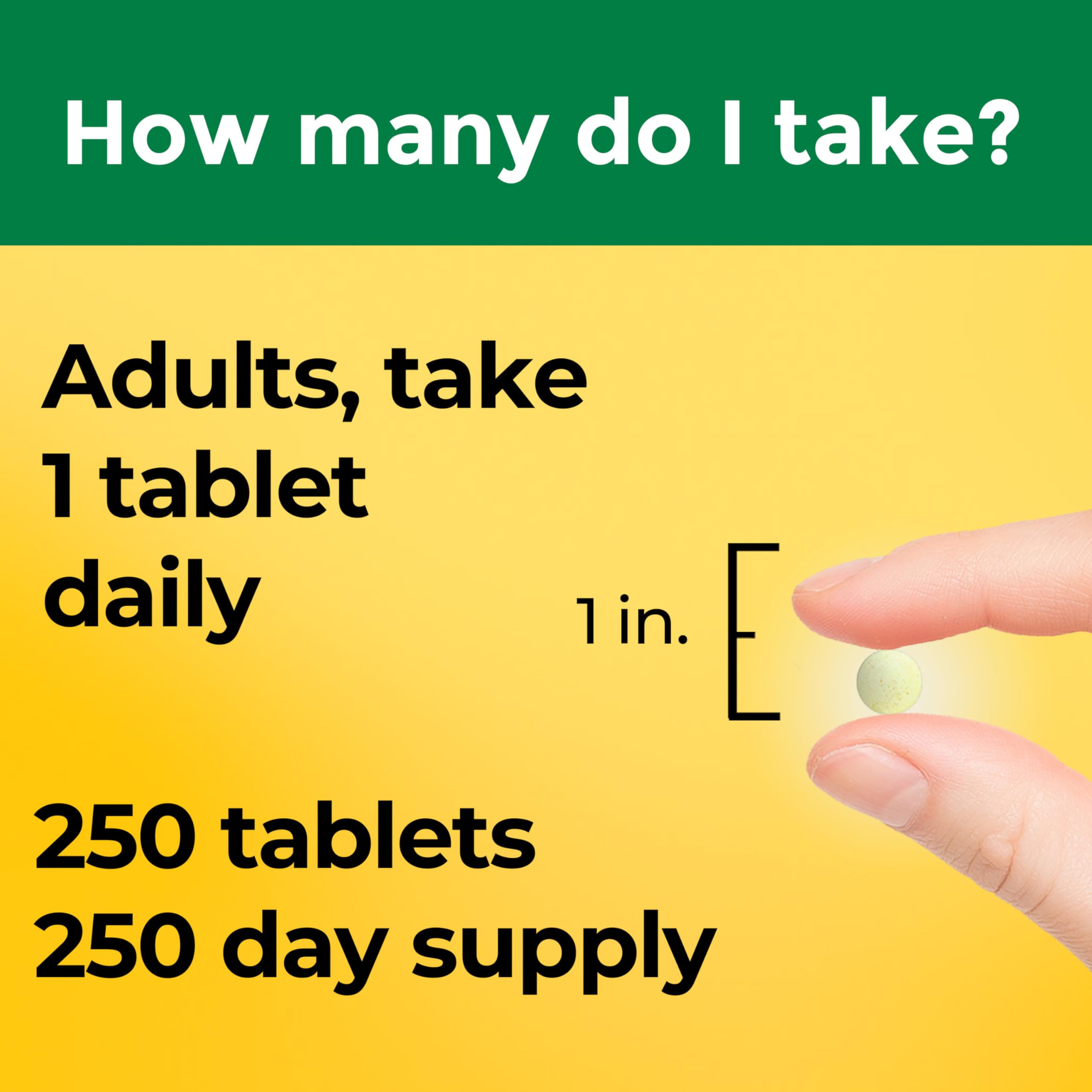 Nature Made Folic Acid 400 mcg (665 mcg DFE), 250 Tablets