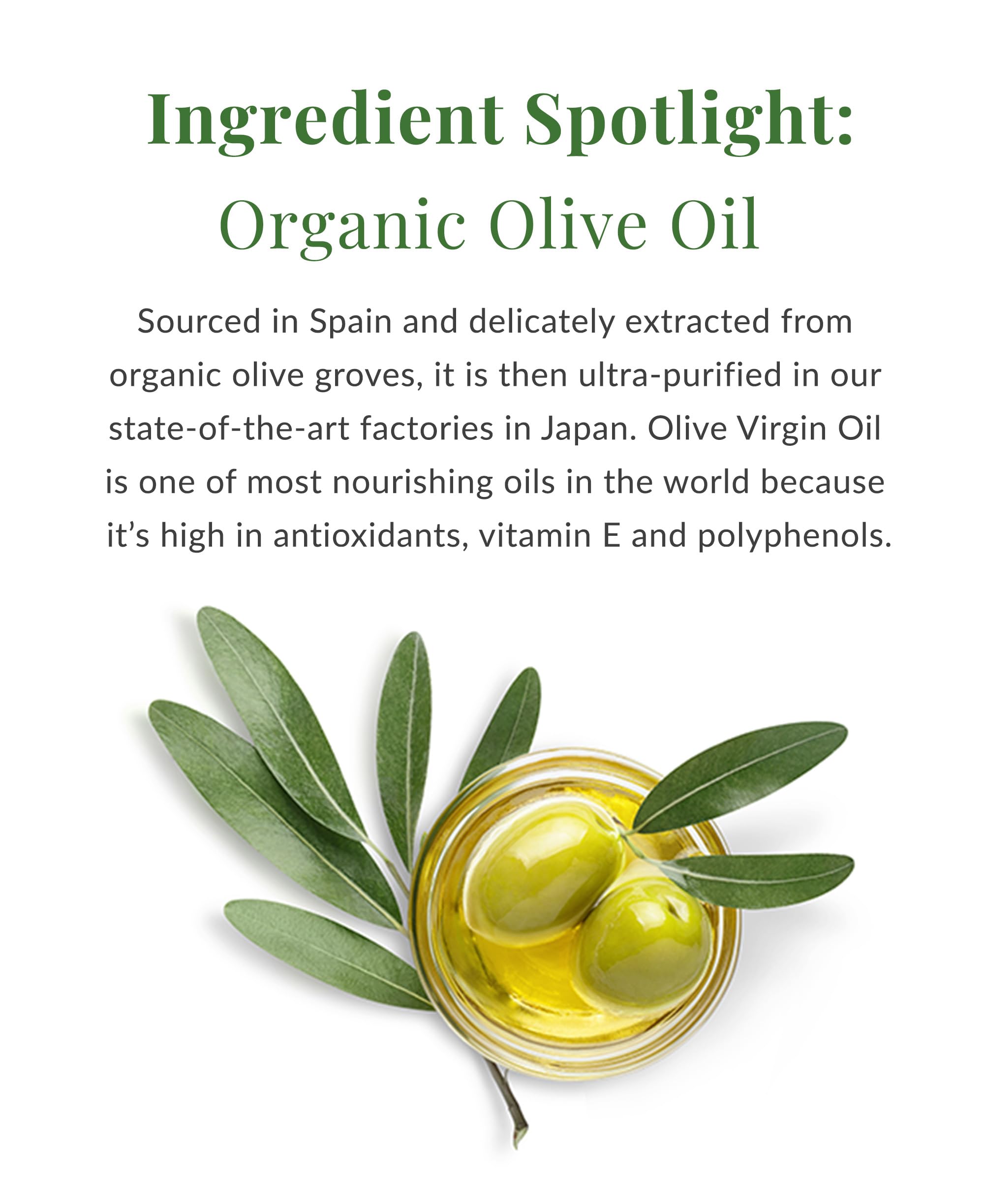 DHC Olive Virgin Oil Essential Cream in 1.7 oz jar, ultra-rich skin moisturizer with nourishing olive oil for deep hydration.