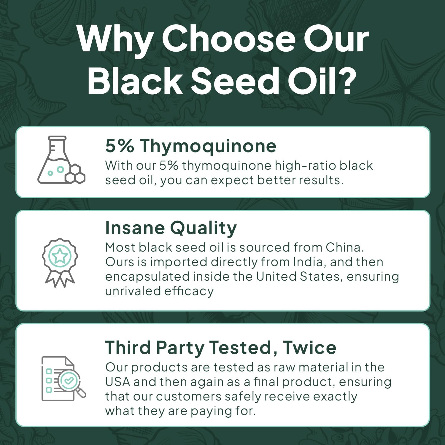 Organics Ocean Better Black Seed Oil Cold Pressed - Pure Nigella Sativa Oil for Immune Support - 5% Thymoquinone - Support Memory, Vitality, and Cellular Health - 3 Pack Bulk Supply