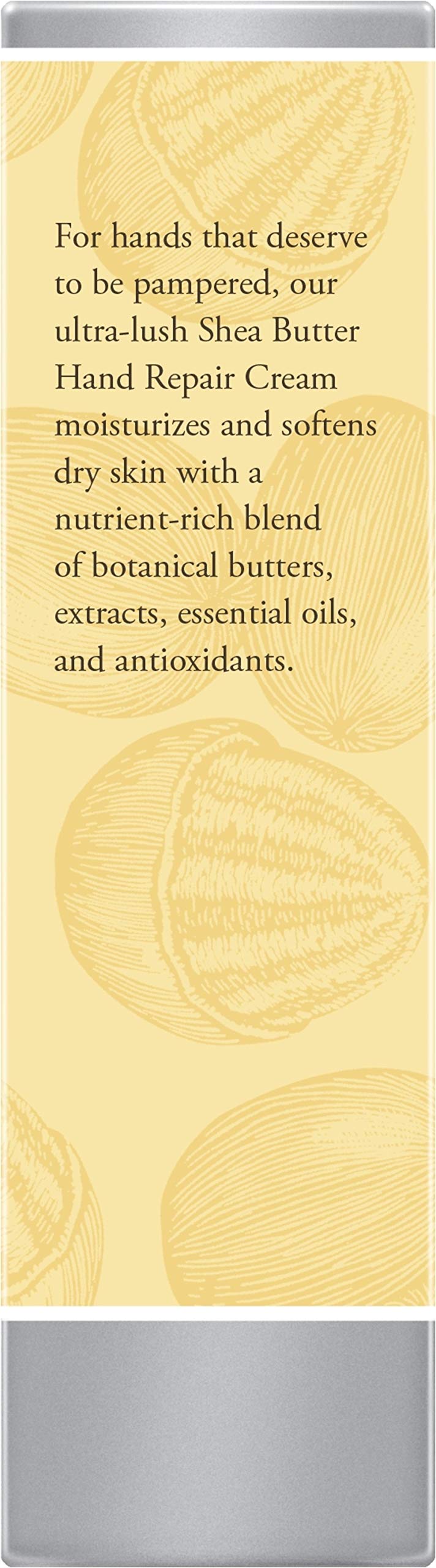 Burt's Bees Shea Butter Hand Cream 3.2 oz, 3-pack, moisturizing skin moisturizer with natural shea butter for soft hands