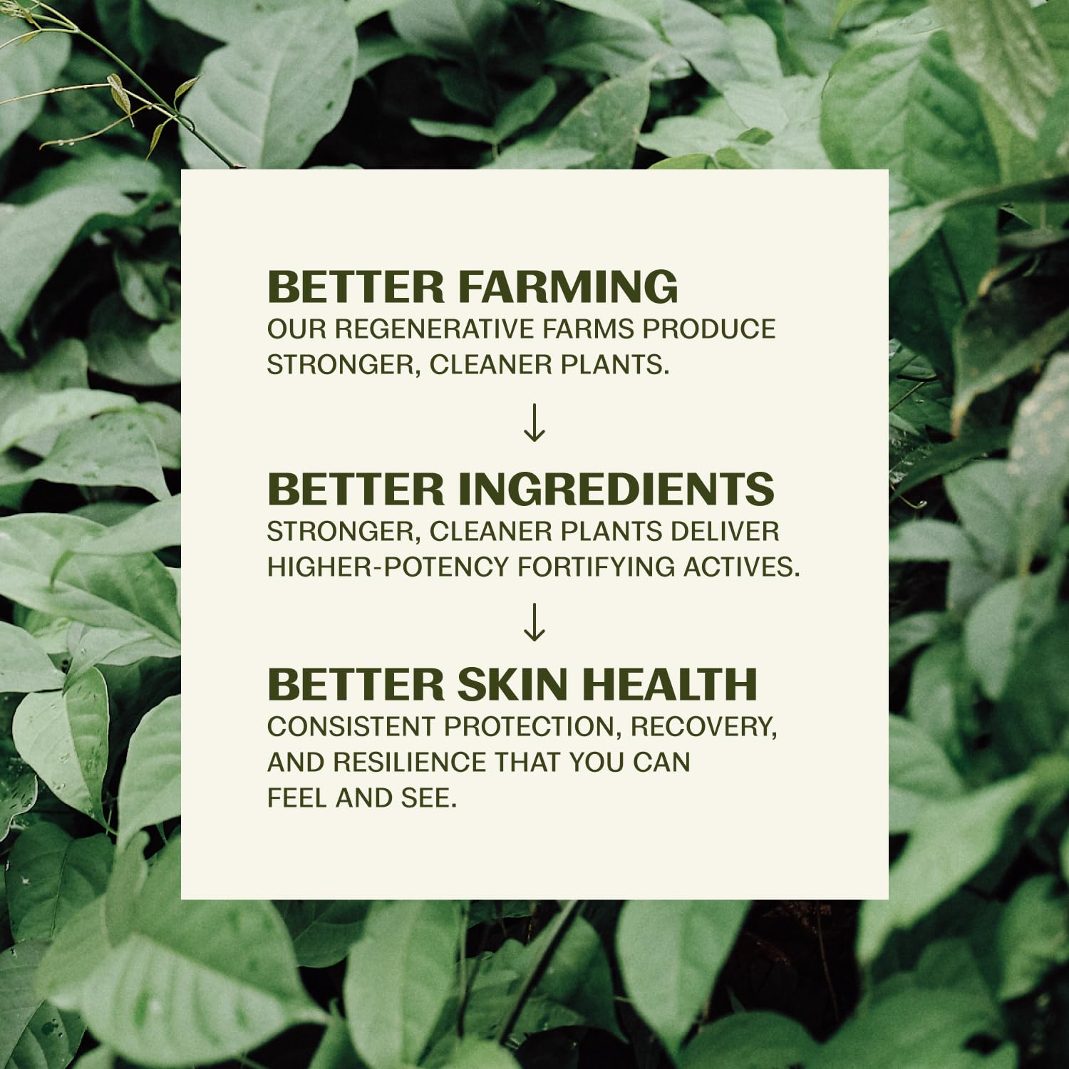 Thrive Natural Care face wash, hydrating daily facial cleanser, gentle, oil-free, vegan skin cleaning agent for clean, refreshed skin.