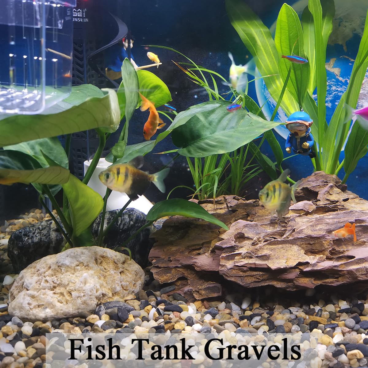 FANTIAN 20 lbs Fish Tank Gravel, 1/4 Inch Aquarium Gravel River Rocks – close-up detail