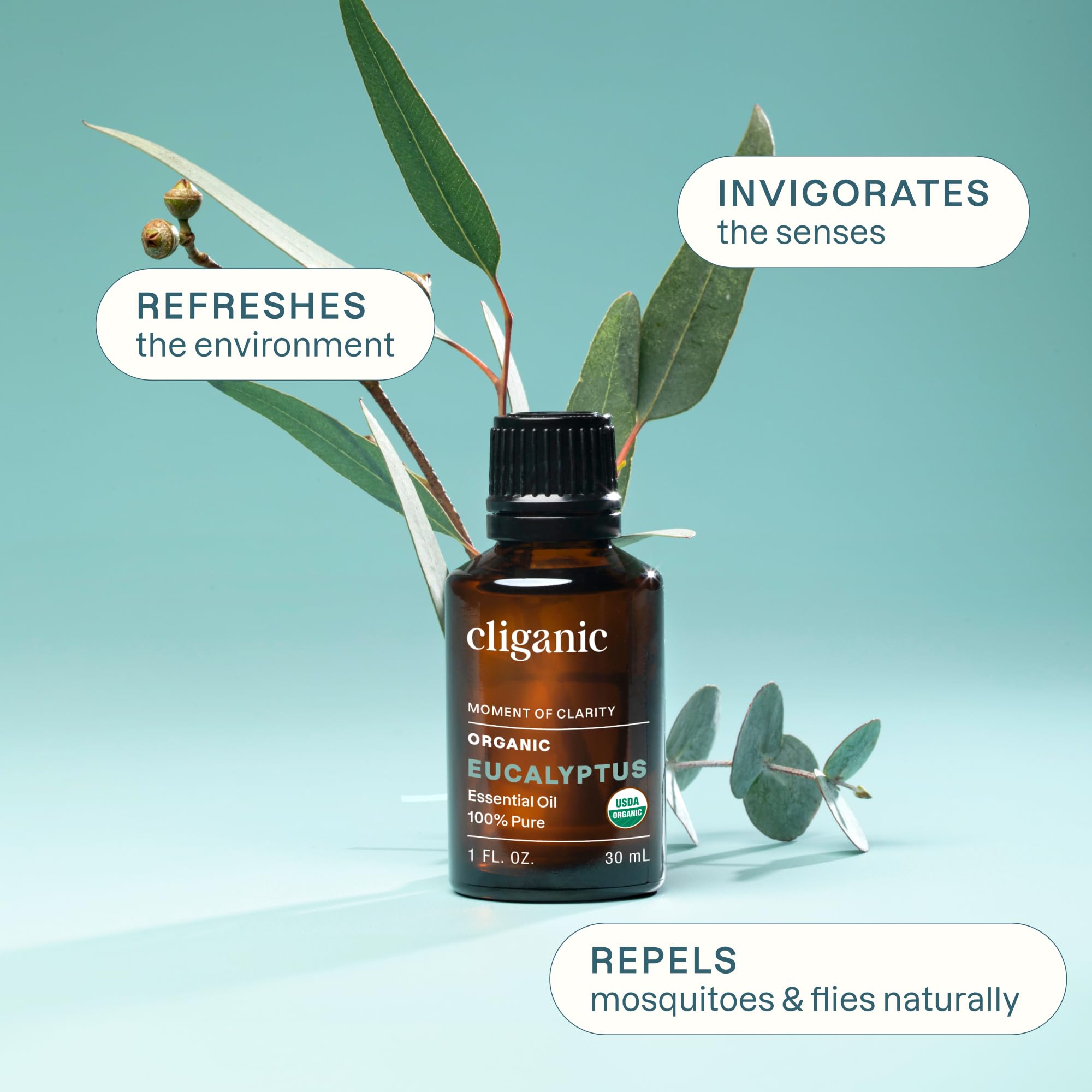 Cliganic Organic Eucalyptus Essential Oil 100% Pure 1oz