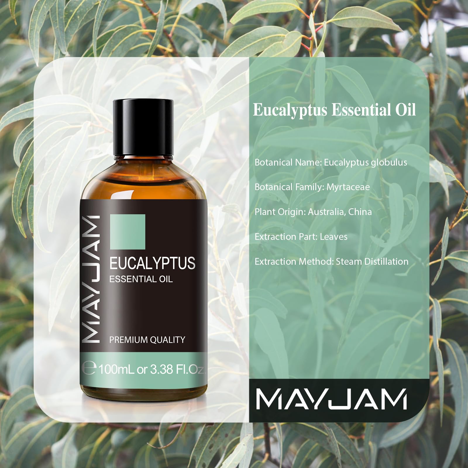 MAYJAM Eucalyptus Essential Oil for Diffuser & Skin – 100ml