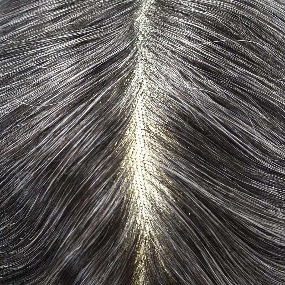 Curve Hair men's toupee wig in #1B40 off black with 40% gray, 8x10-inch monofilament hair replacement system.