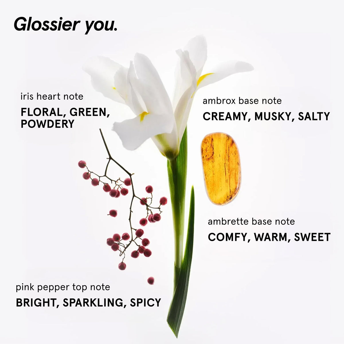 Glossier You Solid Perfume Refillable Compact 3g - Glossier Official Imagery - 4