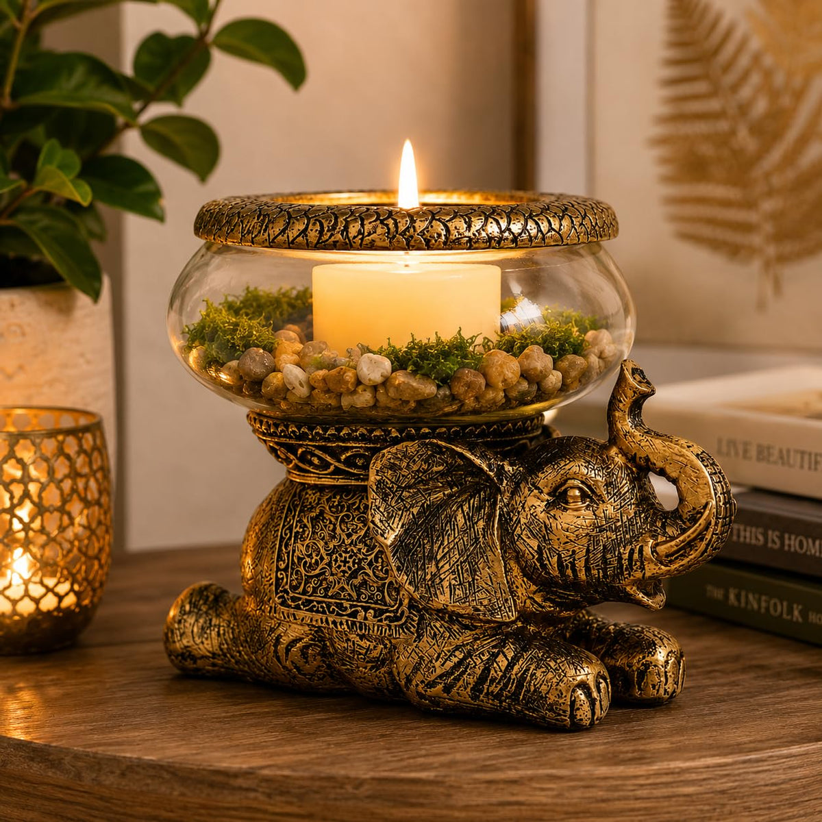 THE NIFTY NOOK – Aquariums on display