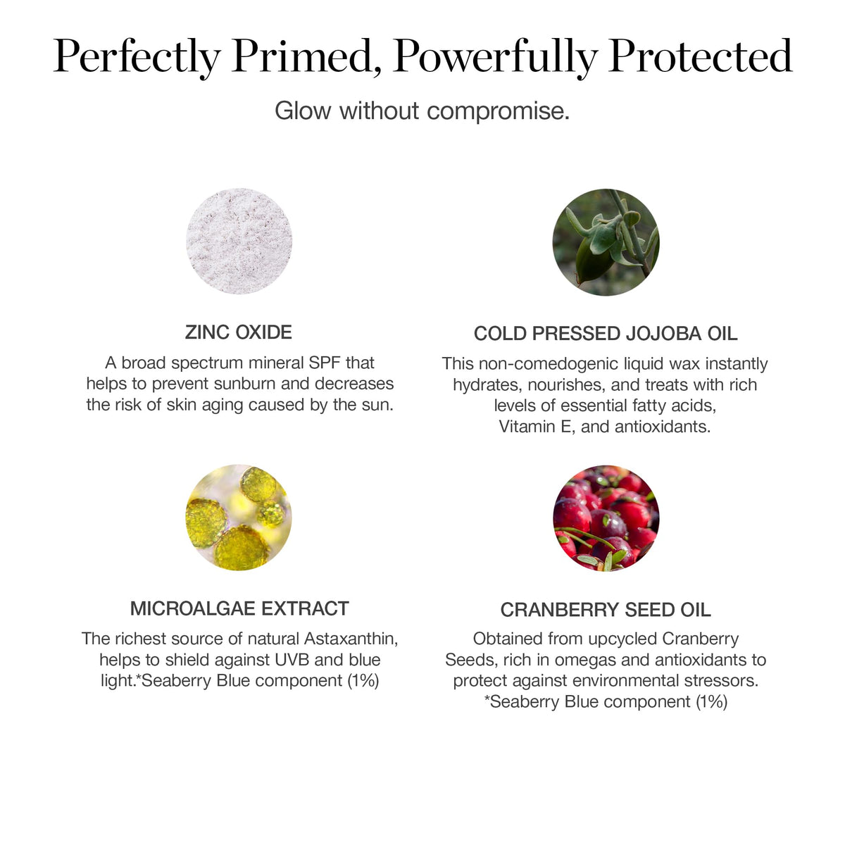 Ogee PROTECT Skin Enhancing Primer - Ogee Official Imagery - 7
