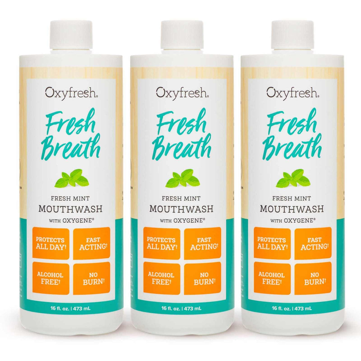 Oxyfresh Premium Fresh Mint Mouthwash Light Flavor Zero Burn - Oxyfresh Official Imagery - 2