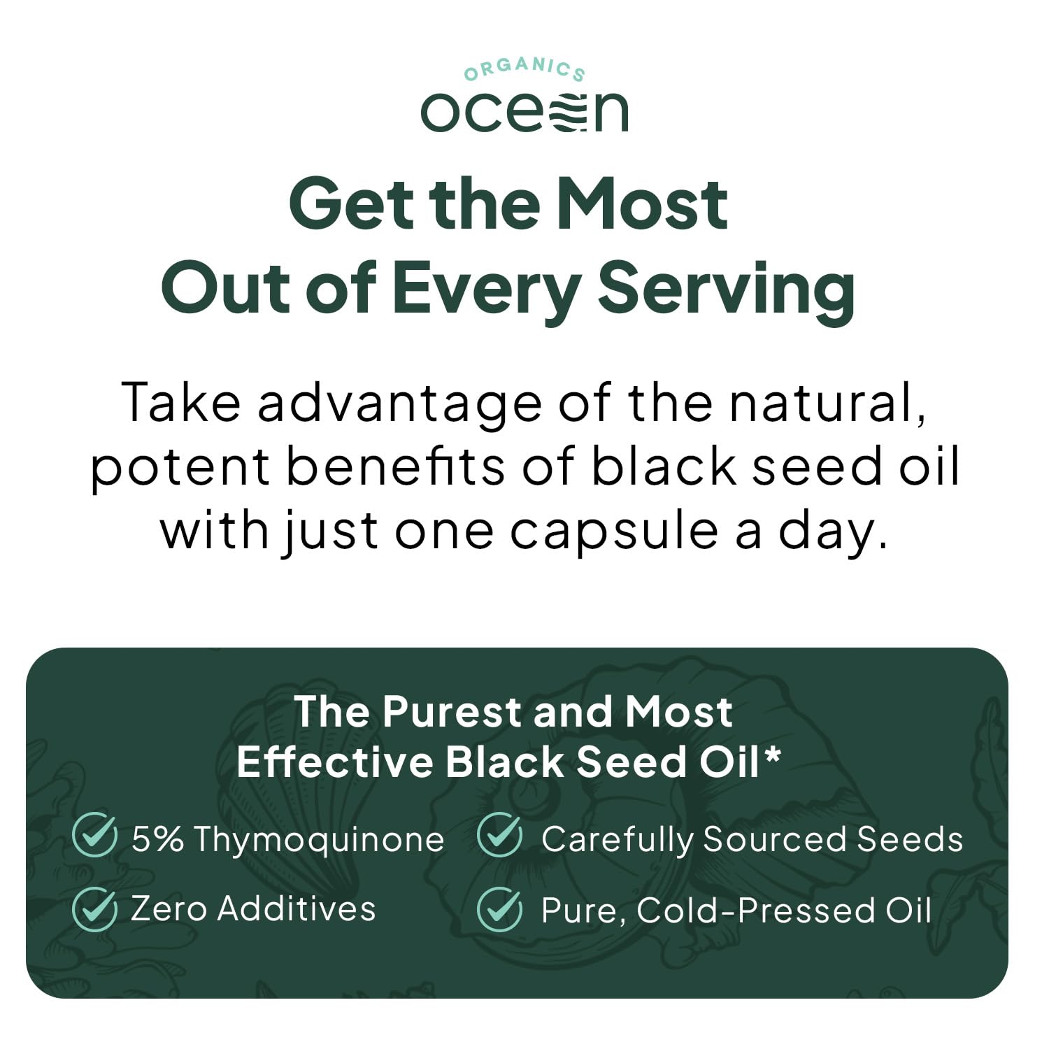 Organics Ocean Better Black Seed Oil Cold Pressed - Pure Nigella Sativa Oil for Immune Support - 5% Thymoquinone - Support Memory, Vitality, and Cellular Health - 3 Pack Bulk Supply