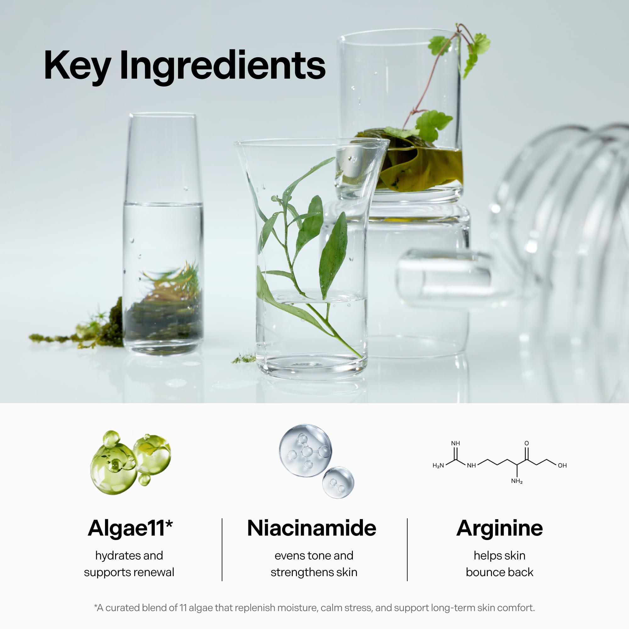 coeternal Ultra Intensive Cream hydrating Korean moisturizer with niacinamide, arginine, algae extracts, suitable for all skin types