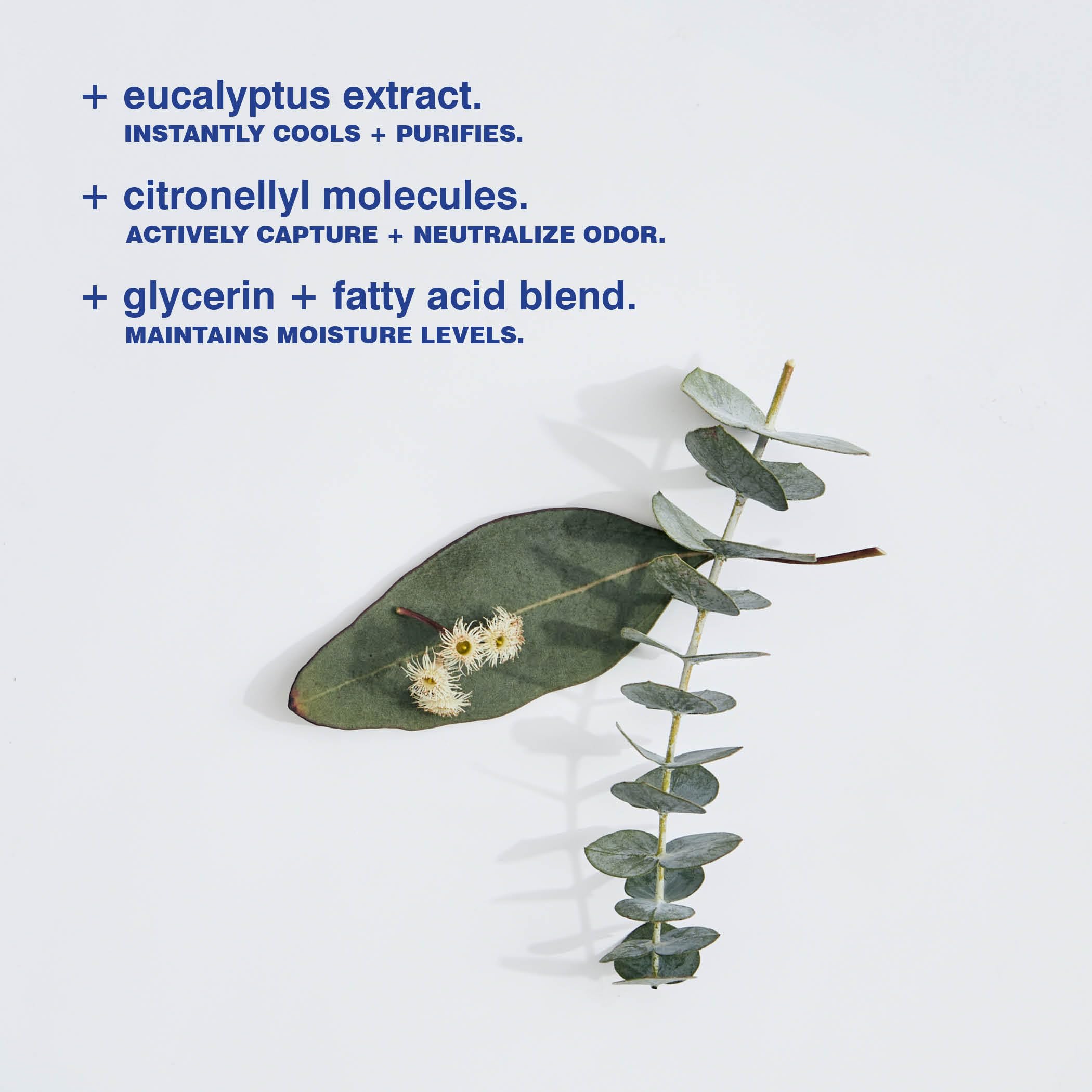 MALIN+GOETZ Eucalyptus Deodorant 2.6 oz in a sleek stick, featuring a clear container with a white cap and a label with eucalyptus imagery.