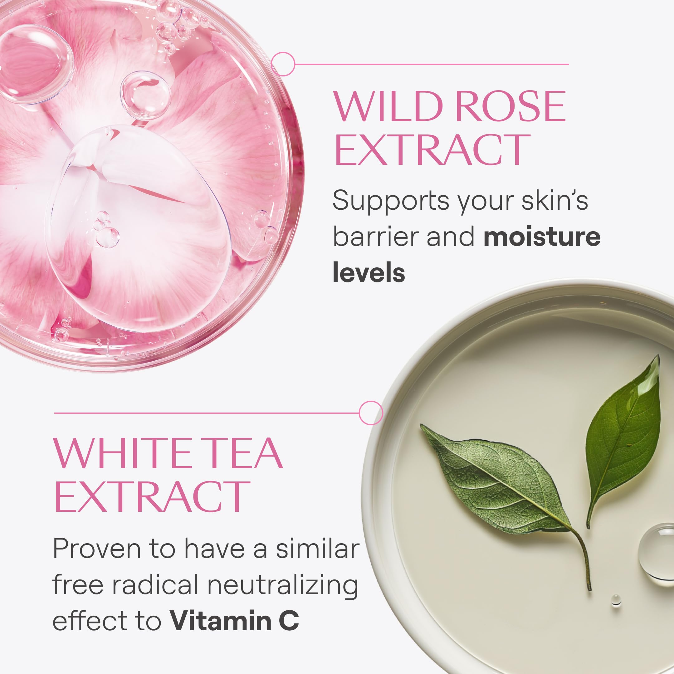 WELEDA Smoothing Day Cream