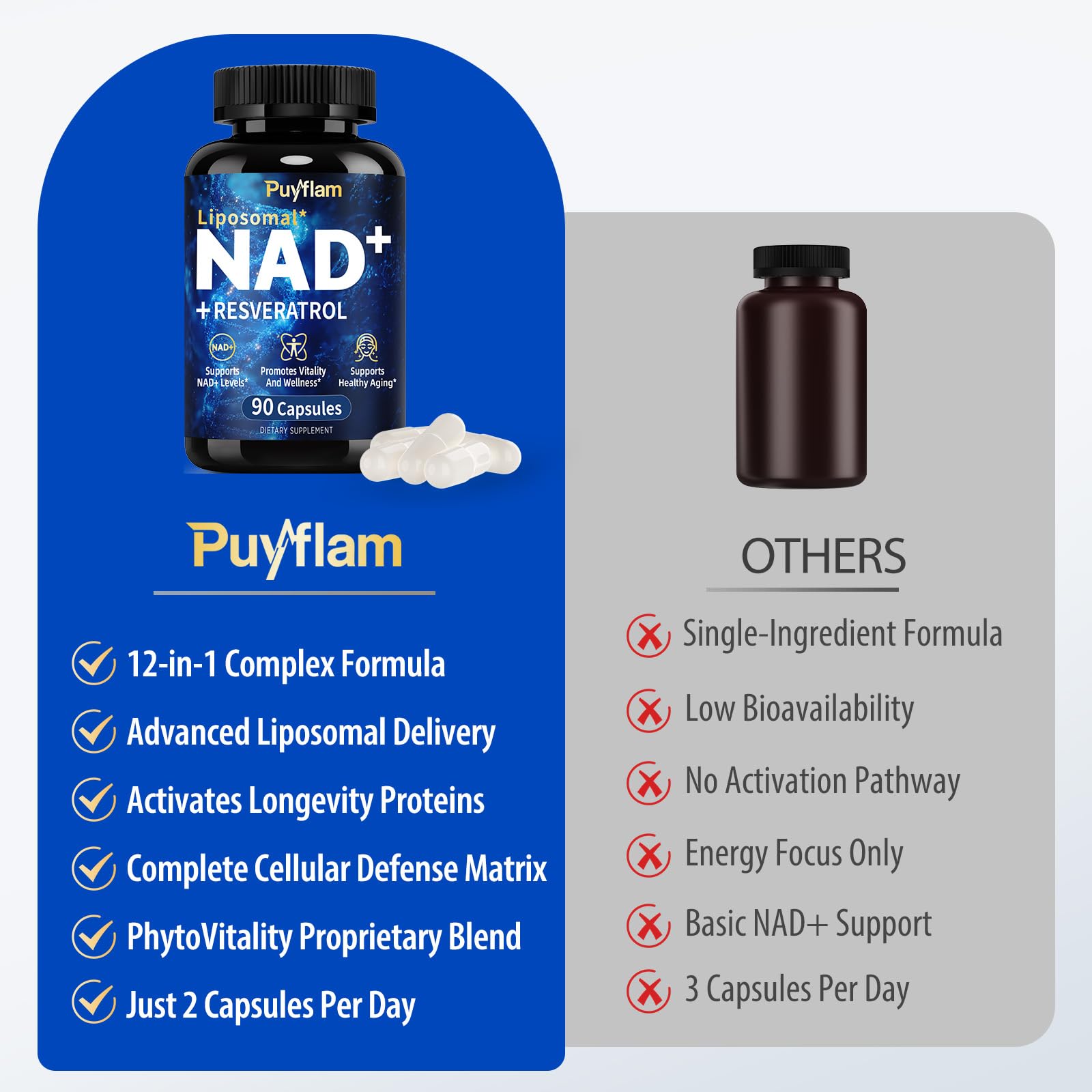 Puyflam 12-in-1 Liposomal NAD+ Supplement, 90 Caps