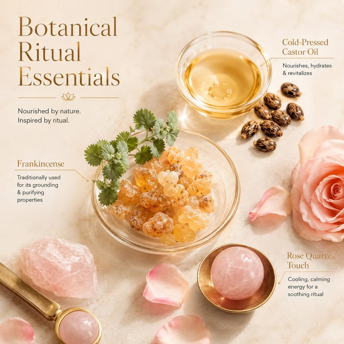 Zotreval Cold-Pressed Organic Castor Oil & Frankincense Rose Quartz Roll-On, 50 mL – packaging and label