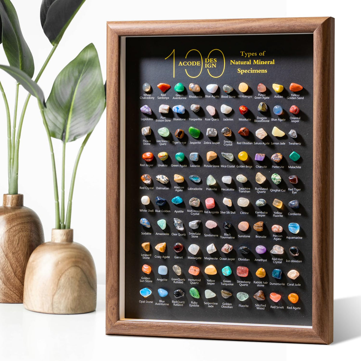 ACODE Natural Mineral Specimen Shadow Box Geology Collection - ACODE Official Imagery - 2