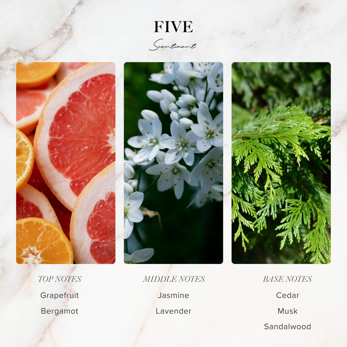 Scentiment Five Diffuser Oil - Scentiment Official Imagery - 3