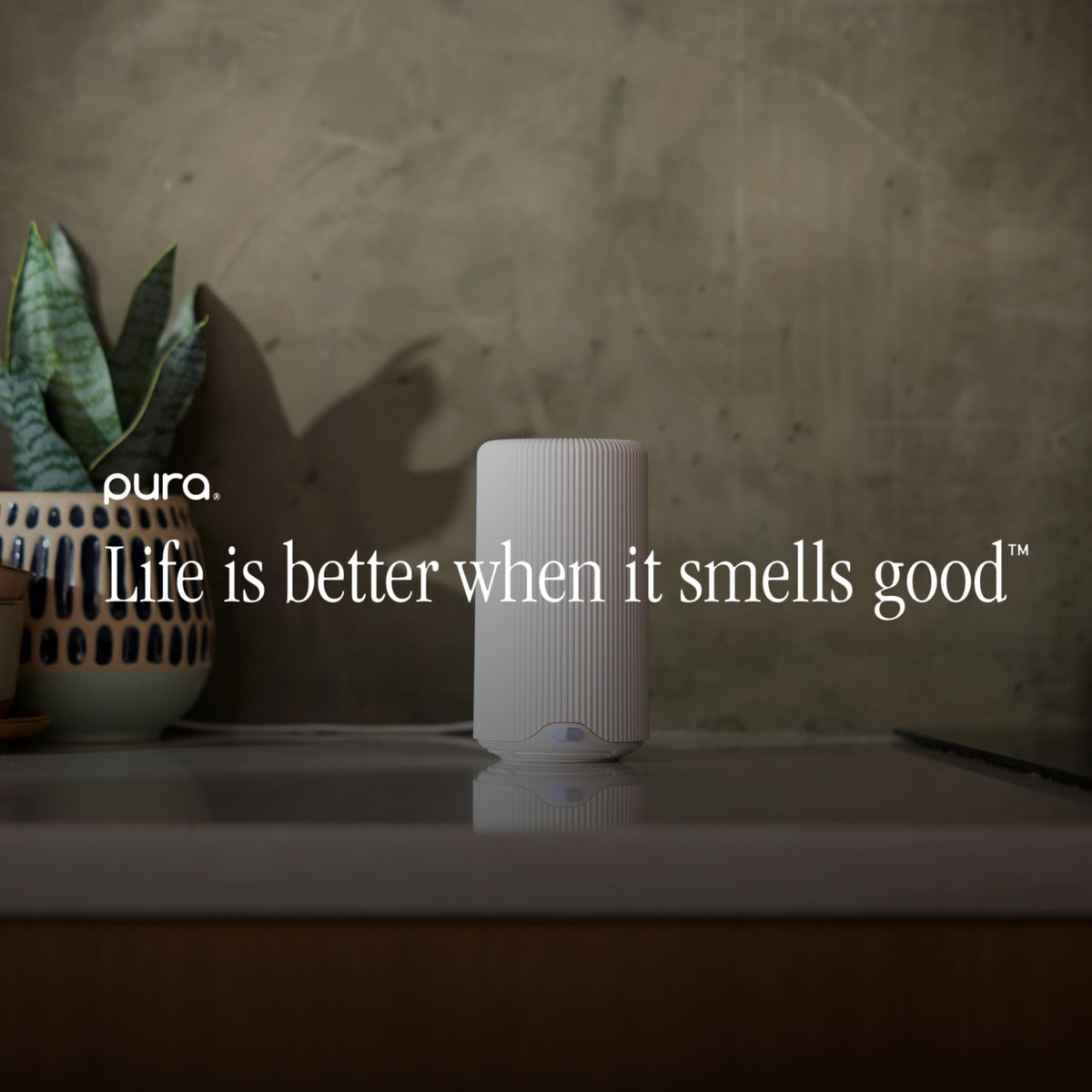 Pura Plus Smart Home Fragrance Diffuser for Large Spaces - Pura Official Imagery - 8