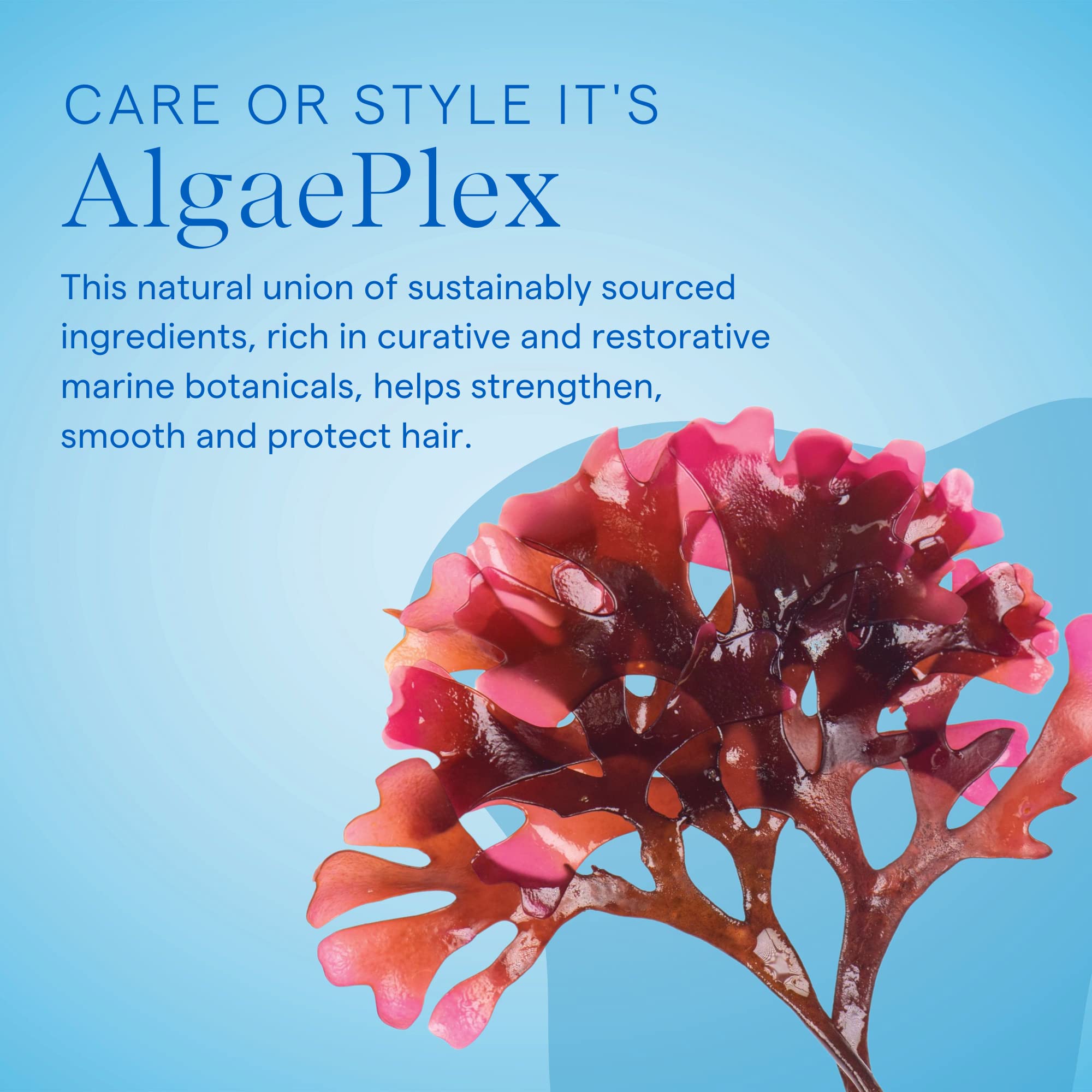 Aquage Thickening Shampoo for fine, color-safe hair in an 8 oz bottle, designed to add volume and fullness.