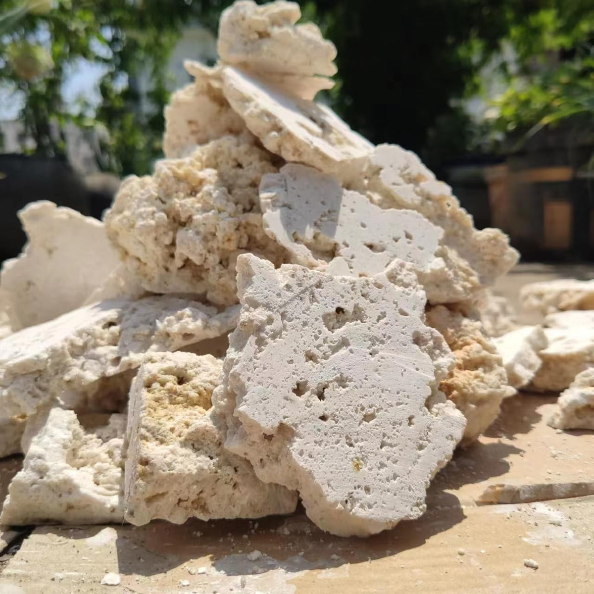 YZHZOM Dry Base Rock for Aquarium White Coral Ornament Sea Base Rocks for Aquarium Aquascaping (7lb,Mix Size & Shape) – 