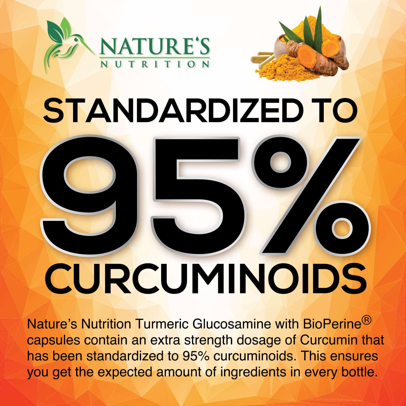 Turmeric Curcumin Supplement - 95% Curcuminoids with Glucosamine, Ginger & MSM, BioPerine Black Pepper Extract for Best Absorption, Natural Vegan Joint Support, Non-GMO, Bottled in USA - 240 Capsules