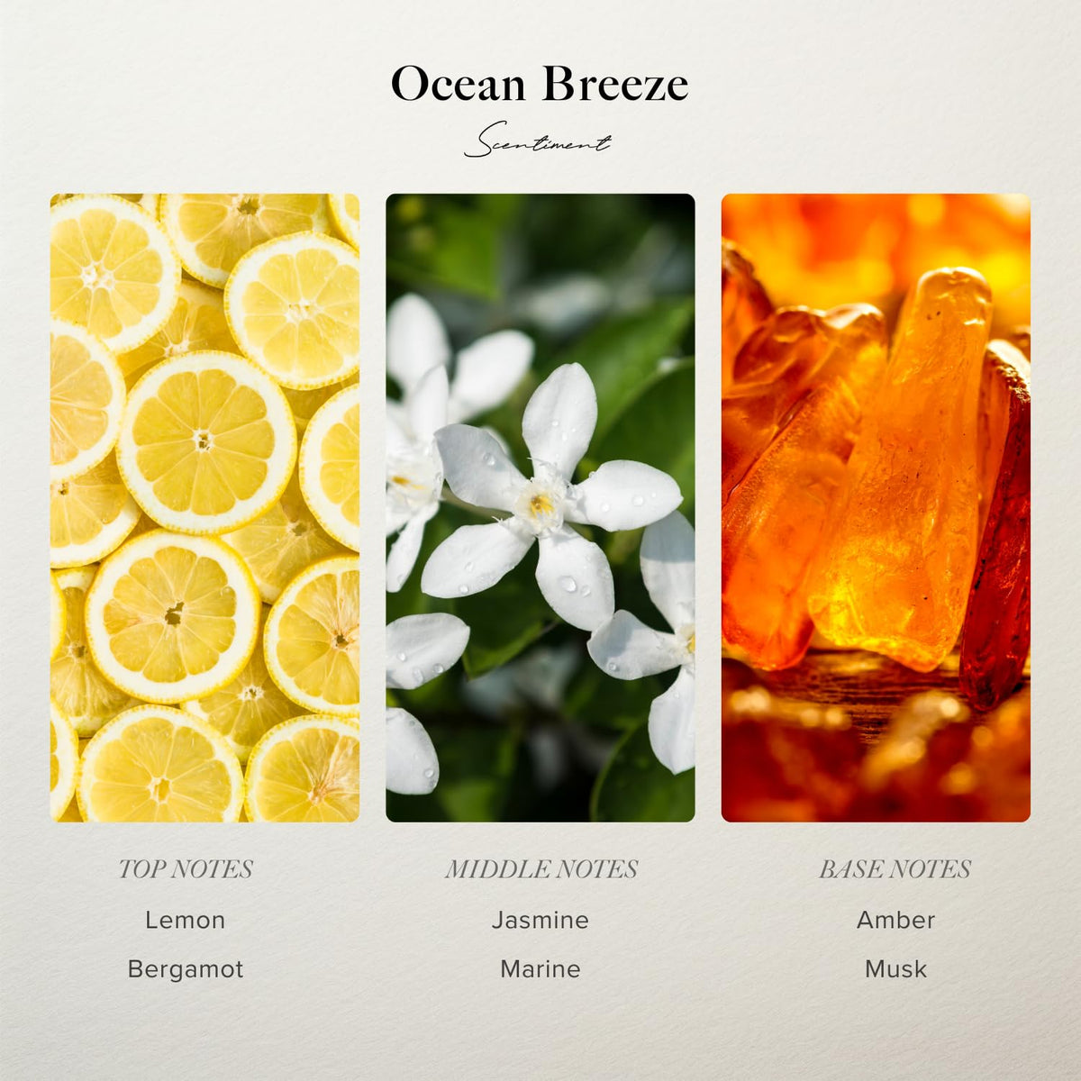 Scentiment Ocean Breeze Diffuser Oil - Scentiment Official Imagery - 4