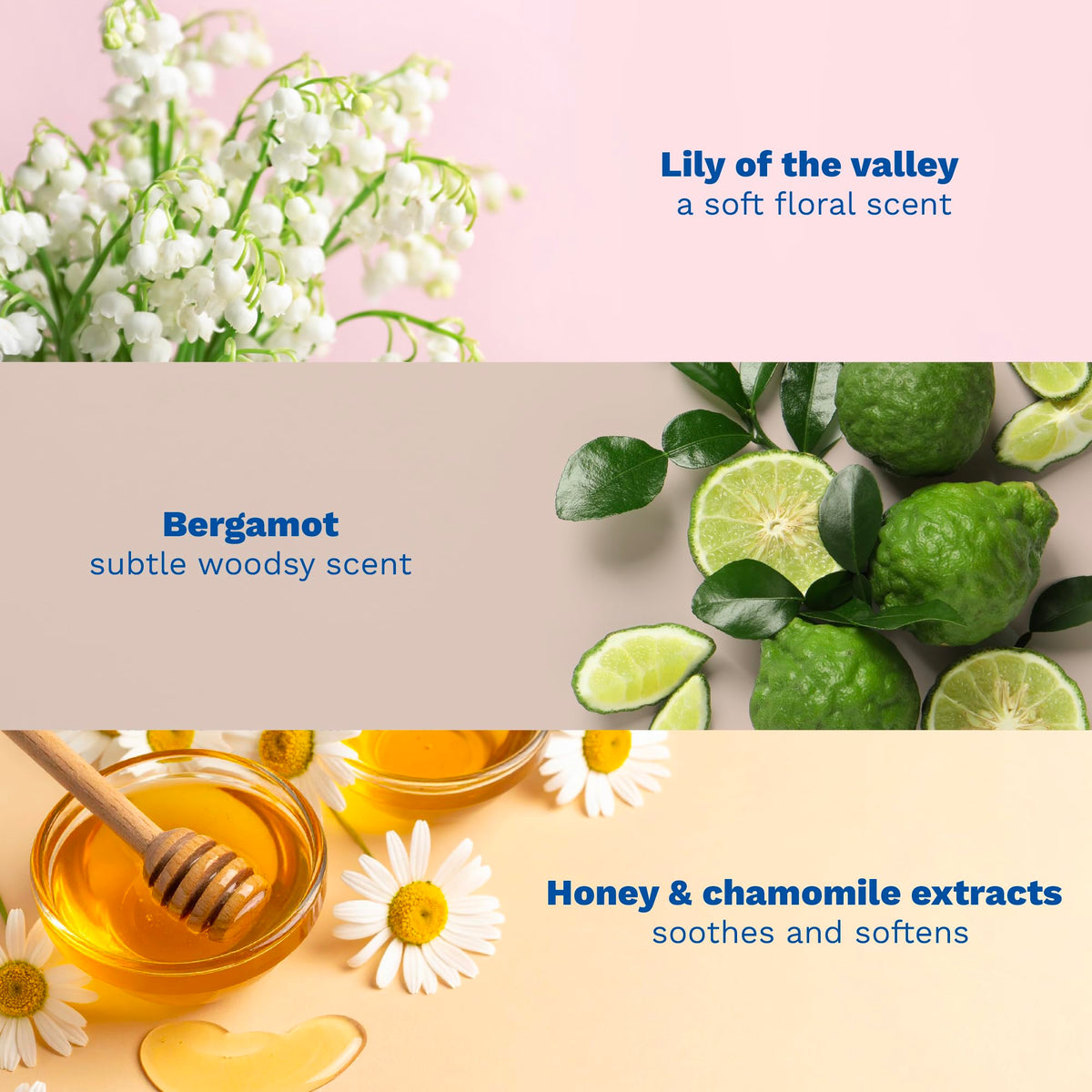 Mustela Musti - Premium Selection Official Imagery - 7