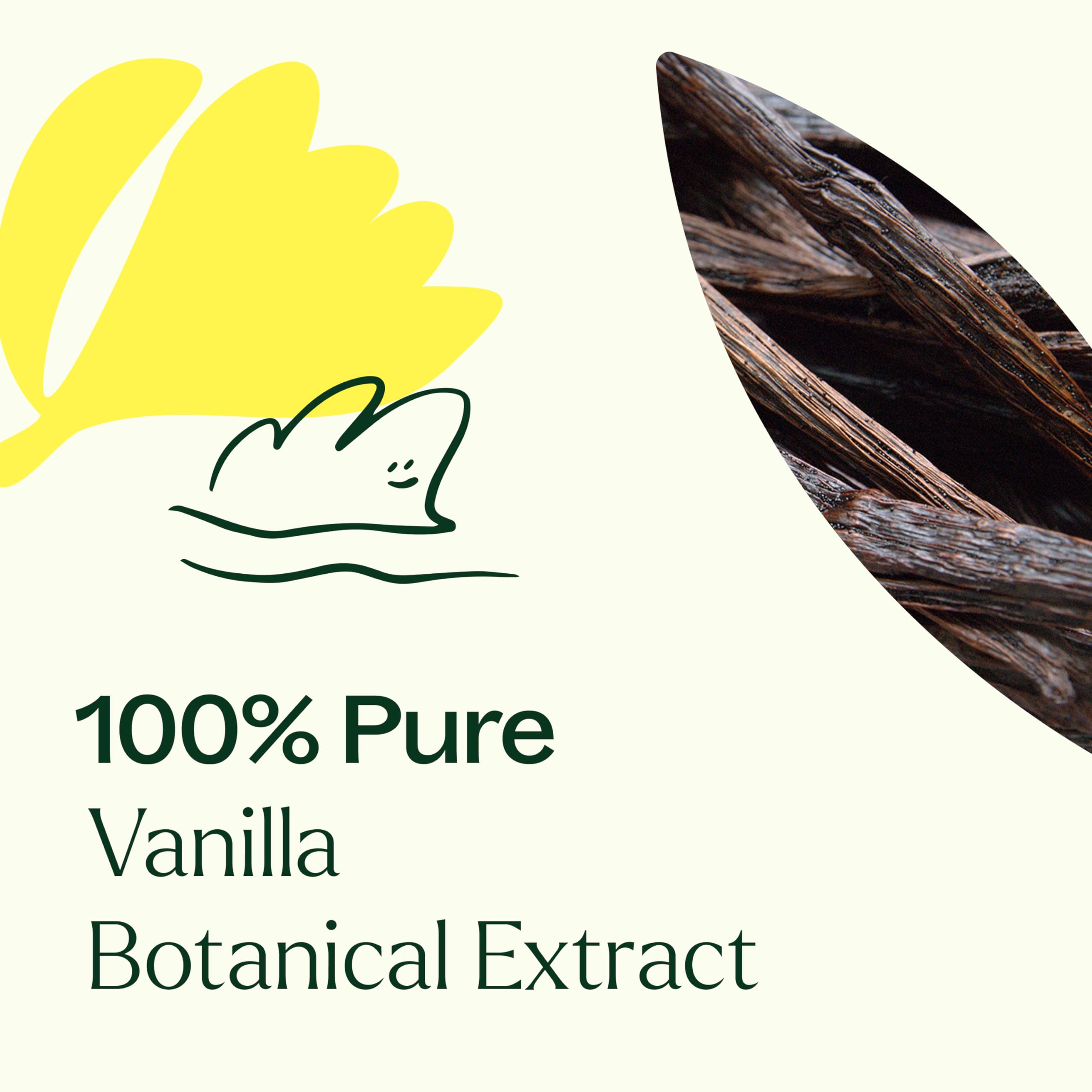 Plant Therapy Vanilla Botanical Extract, 10 mL (1/3 oz), Pure Extract