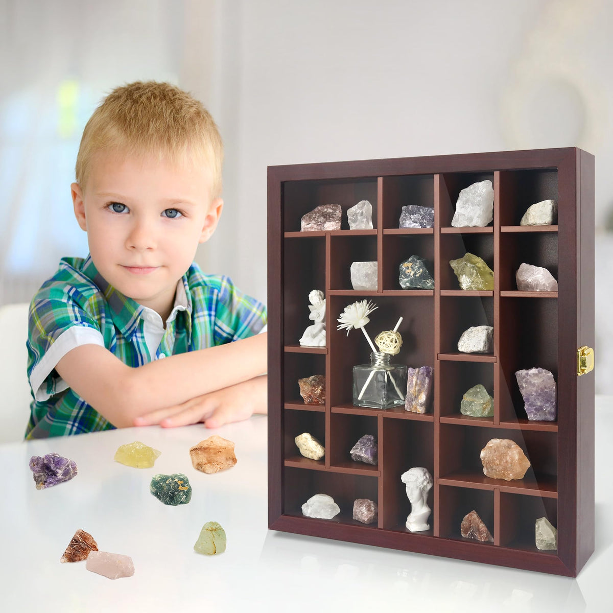 Rock Display Case Wall Mount Shadow Box with Shelves - FramePro Official Imagery - 7