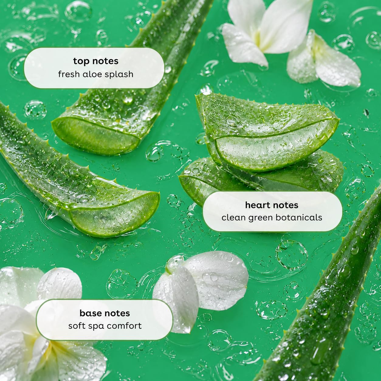 Ginger Lily Farms Aloe Vera Body Wash 4-pack with 128 fl oz, natural skin cleaning agent with aloe vera for gentle cleansing