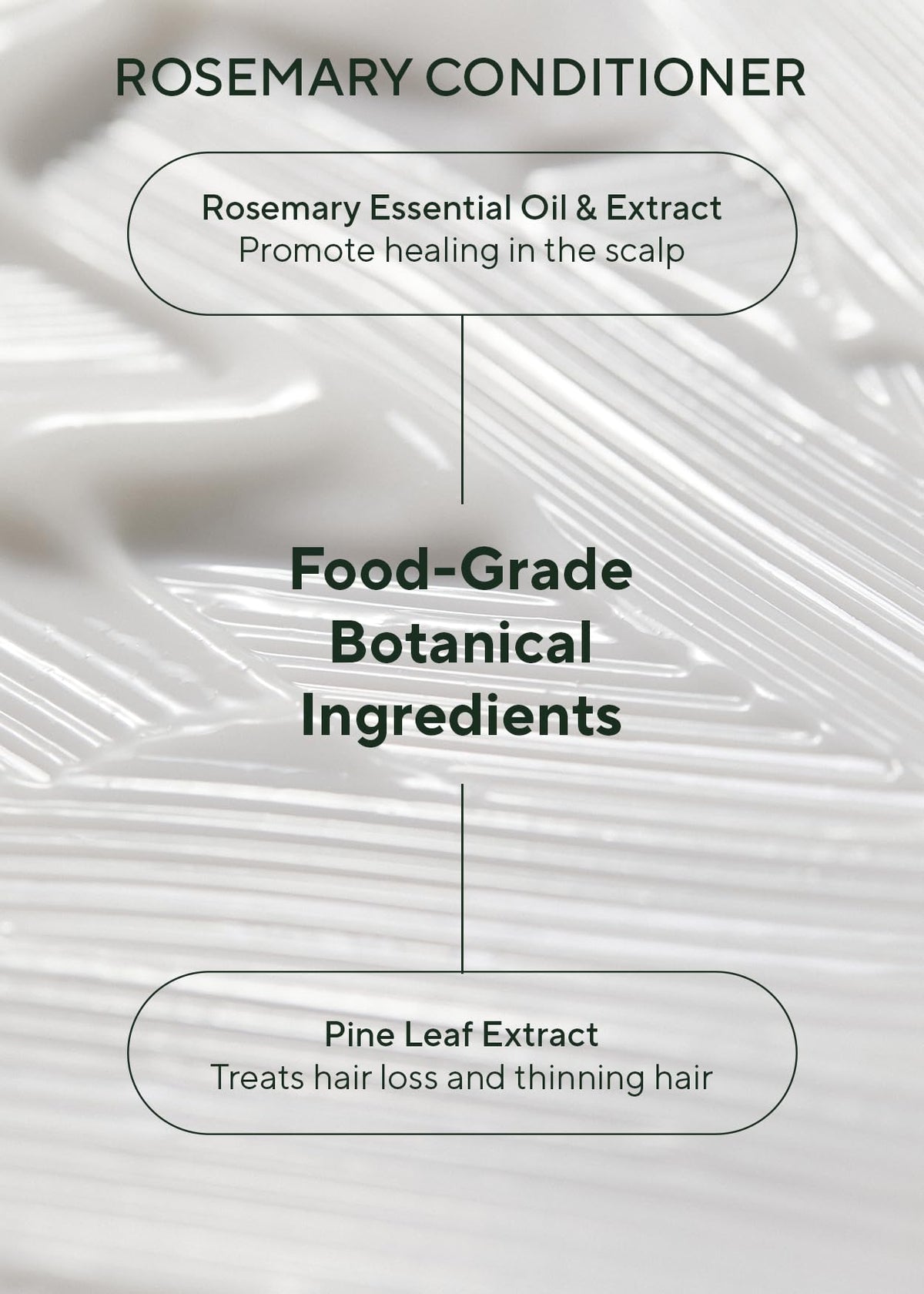 AROMATICA Rosemary Scalp Scaling Shampoo and Conditioner Set – full view, size 6.77 Fl Oz (Pack of 2)