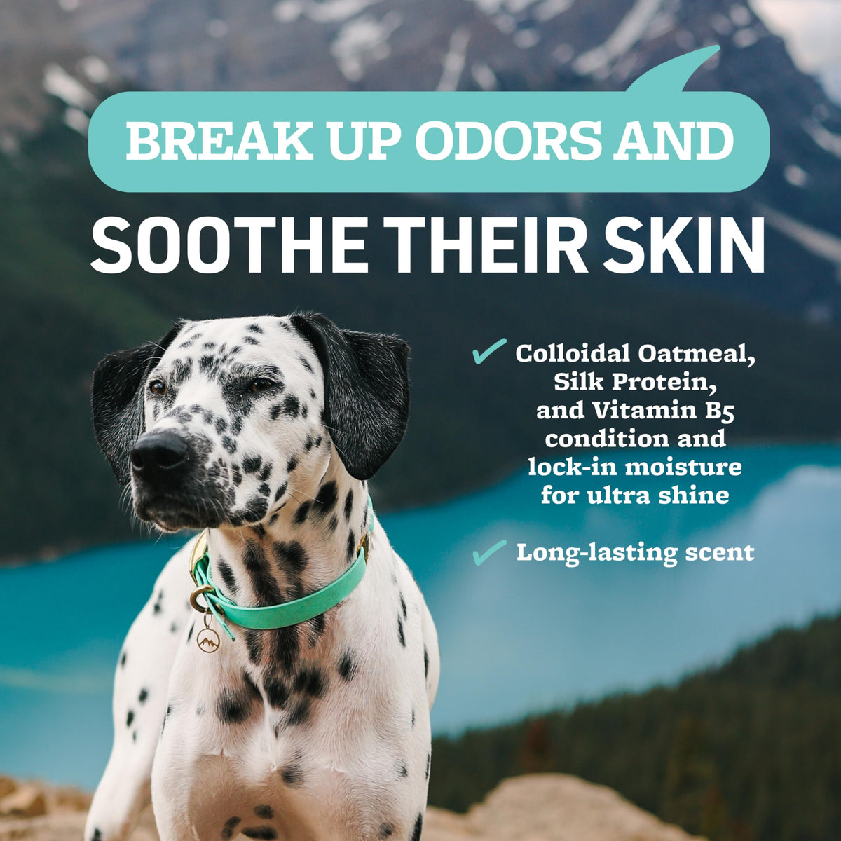 Veterinary Formula Smart Coat Complex Soothing and - Veterinary Formula Official Imagery - 5