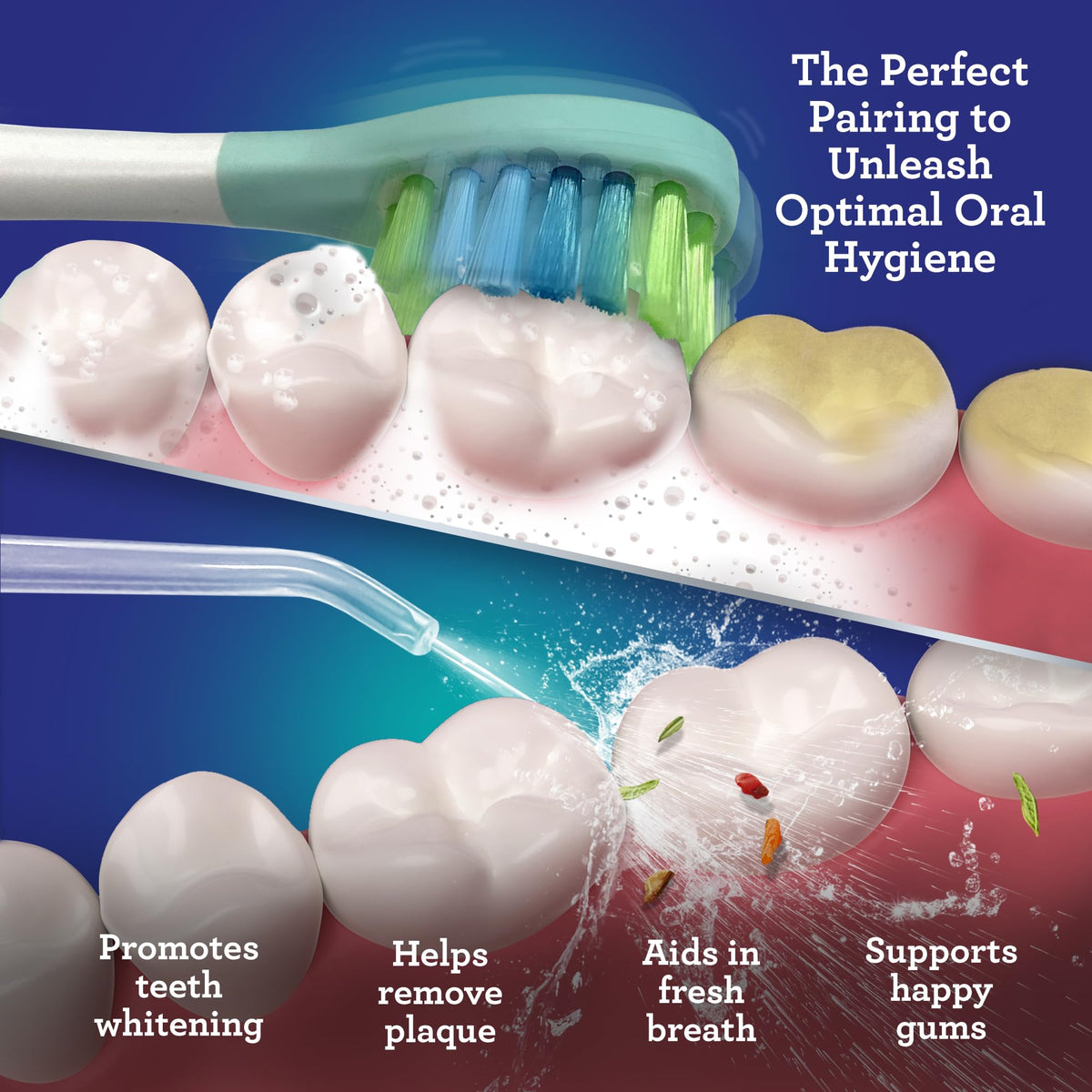 GuruNanda Electric Toothbrush Water Flosser 4 Toothbrush - GuruNanda Official Imagery - 6