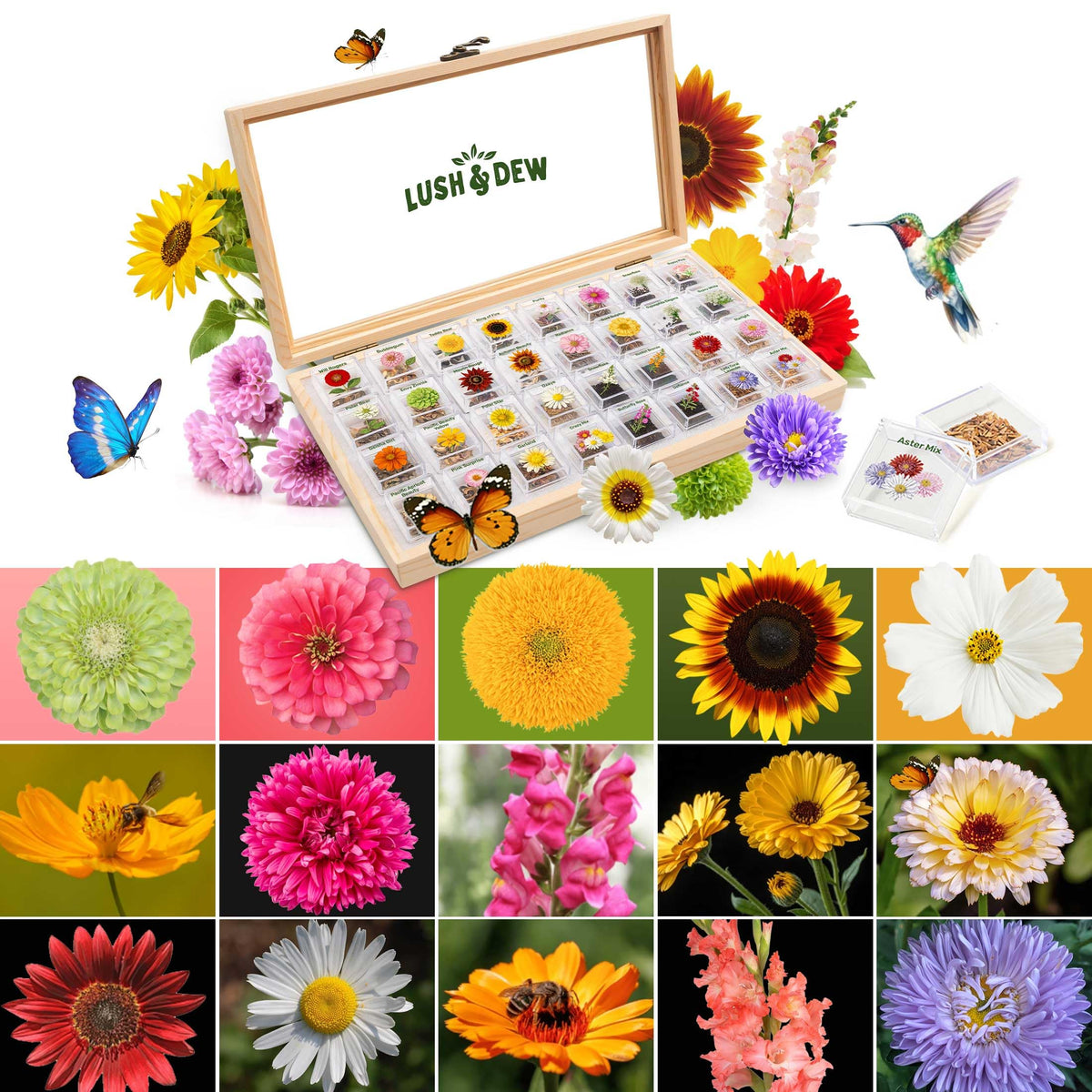 Lush Dew Cut Flower Seed Bank Gardening Gifts for Women 32 - LUSH&DEWㅤ Official Imagery - 1
