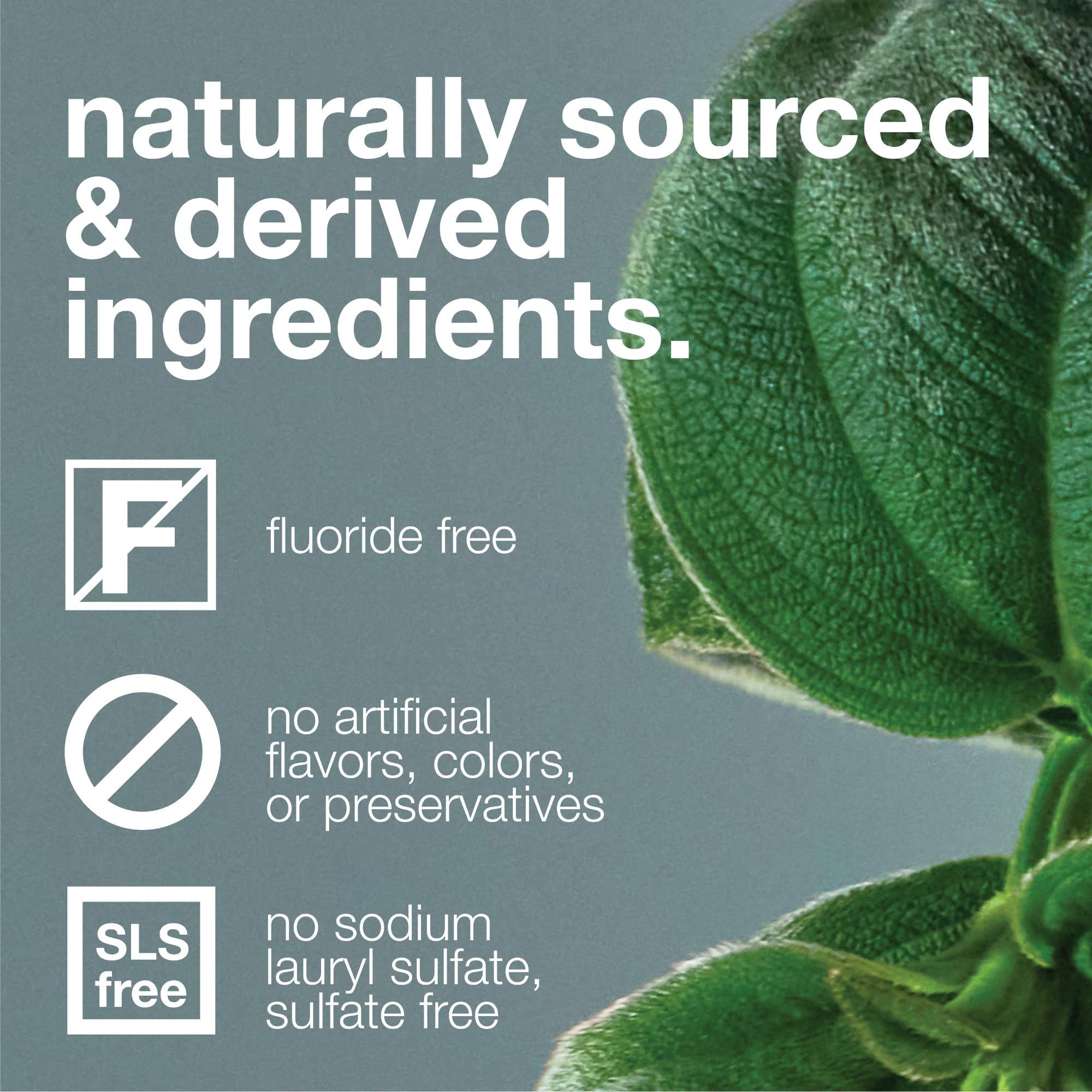Davids Fluoride Free Toothpaste Teeth Whitening SLS Free Peppermint 5.25oz