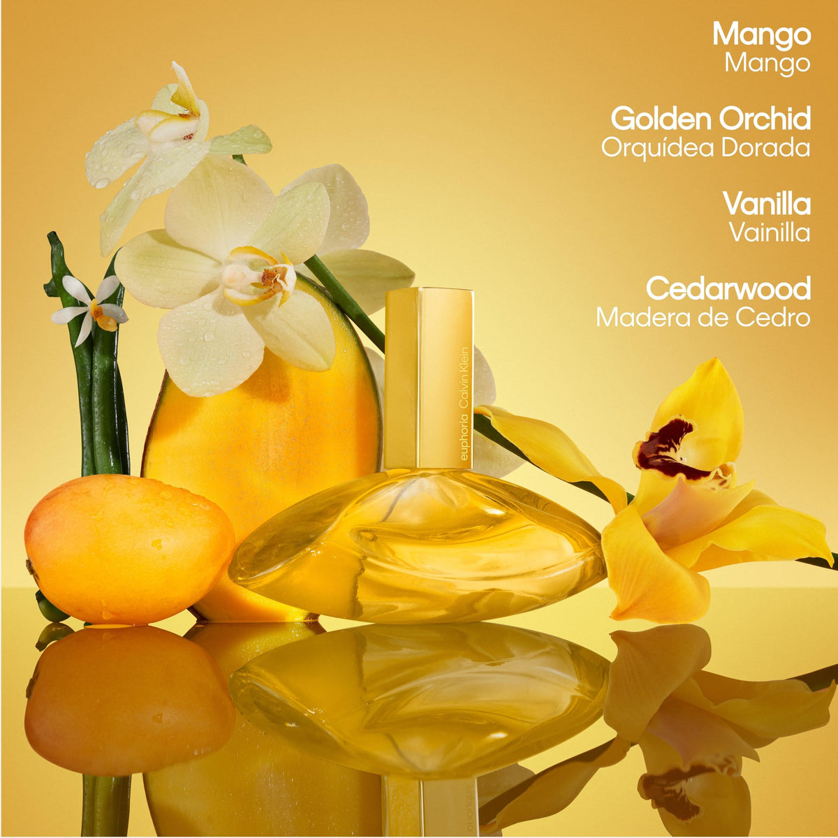 Calvin Klein Euphoria Solar Elixir Parfum Intense worn by - Premium Selection Official Imagery - 4