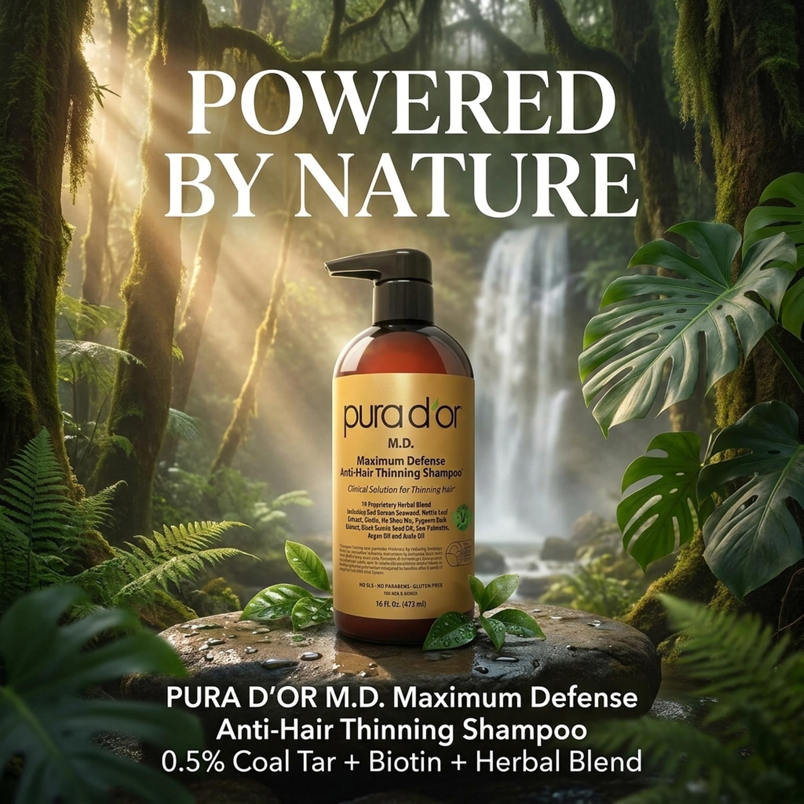 PURA D'OR MD Anti-Hair Thinning Shampoo with coal tar, biotin, herbal blend for dry, itchy scalp, sulfate-free, 16 oz bottle