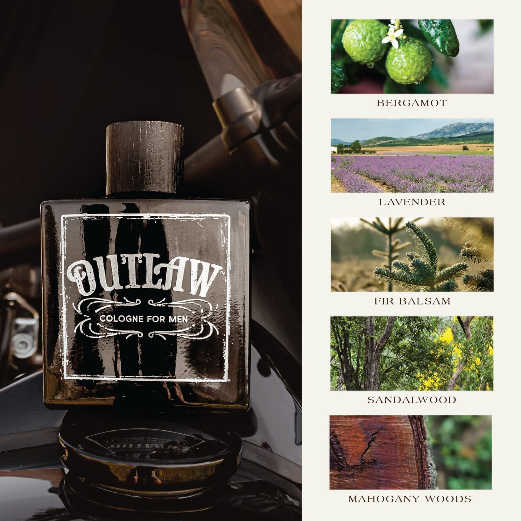 Tru Western Outlaw men's cologne bottle, 3.4 fl oz, featuring a sleek design and rugged branding for personal fragrance.